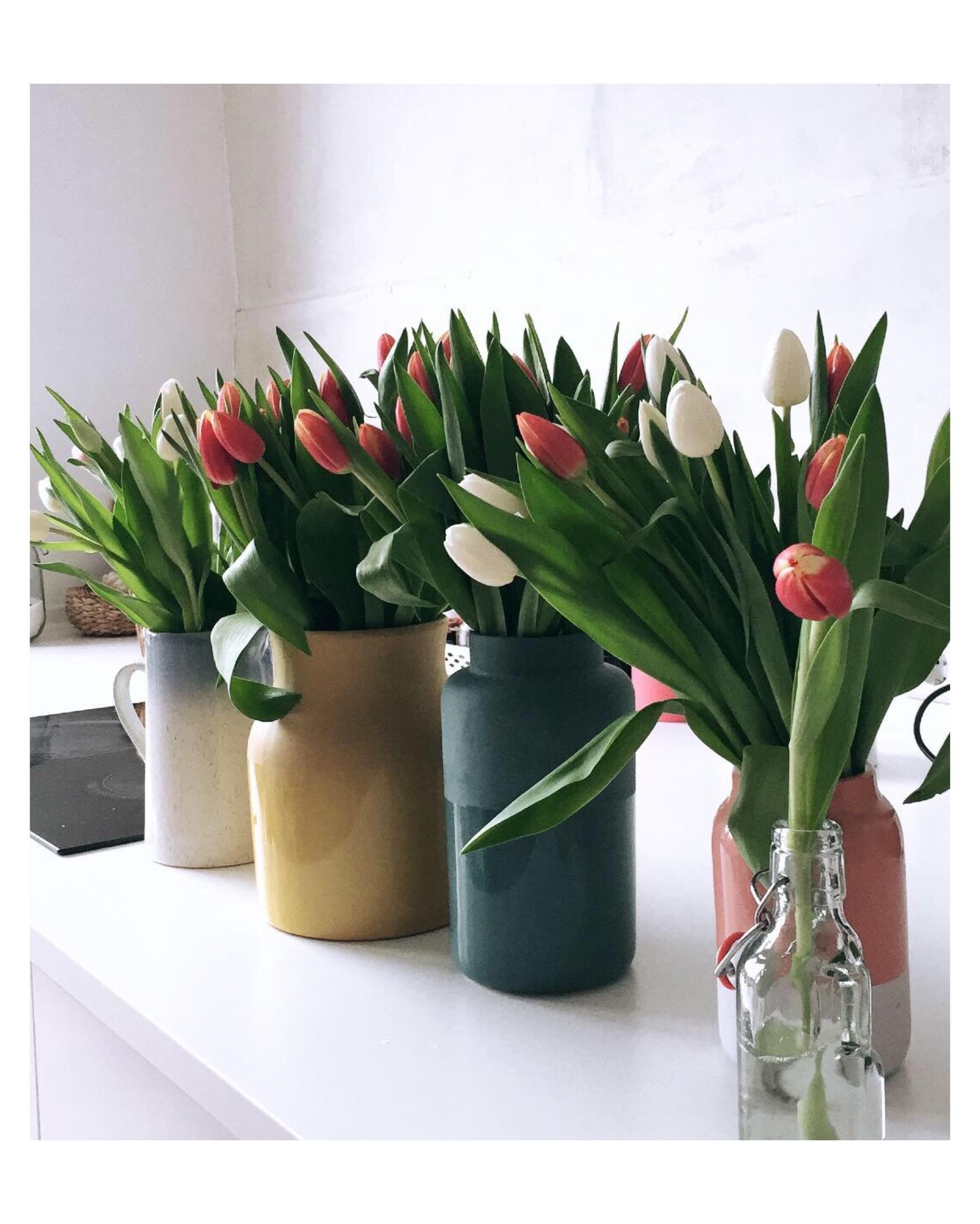 Tulpen//Vasen
#sommer #interiordesign #vasen #hamburg #markt #kleineküche #kleinerraum #colour