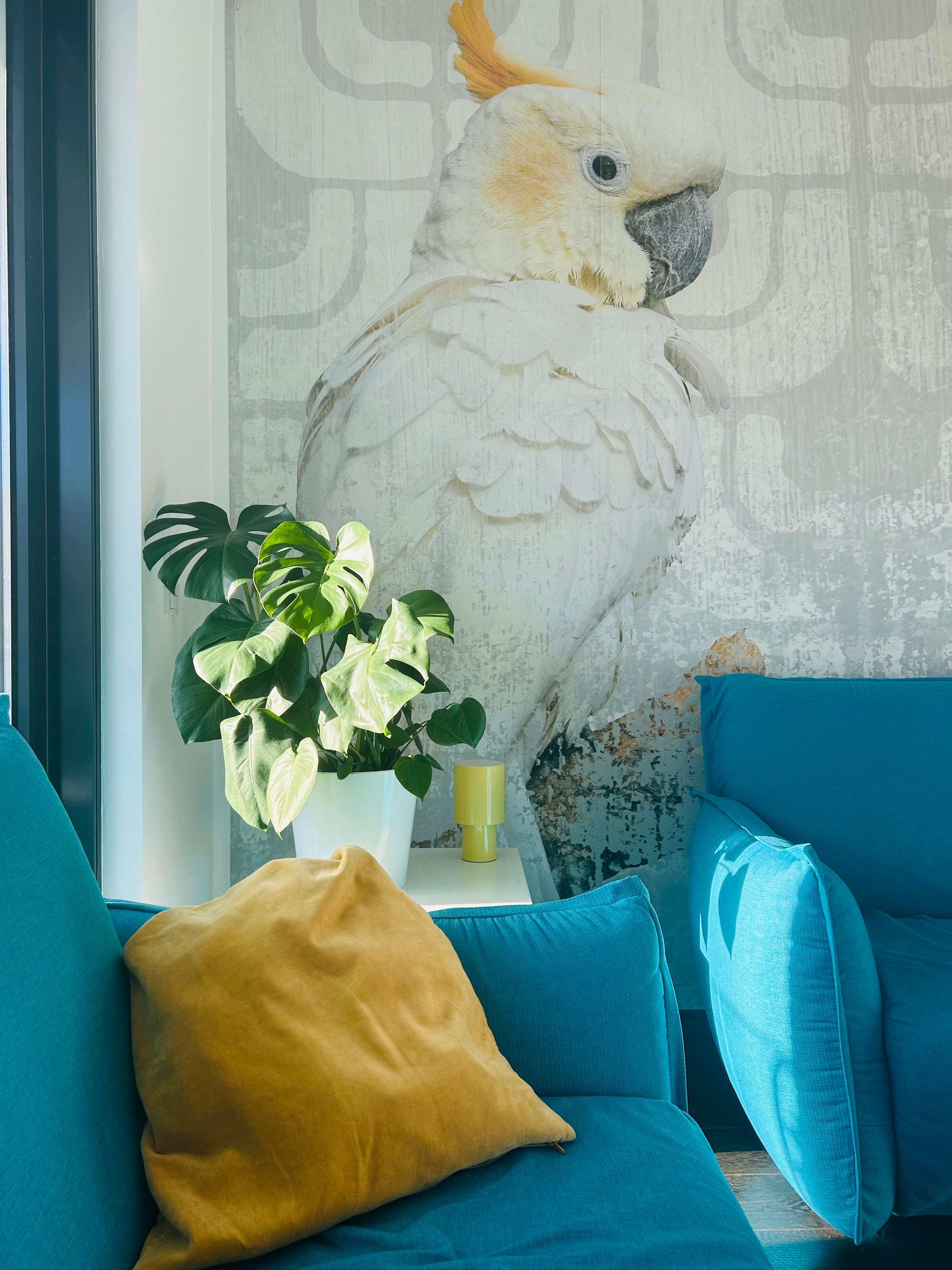 Turquoise rules... samt Kakadu. Für Freunde der Farbe #Türkis
#Wohnzimmer #türkis #interior # farbenliebe