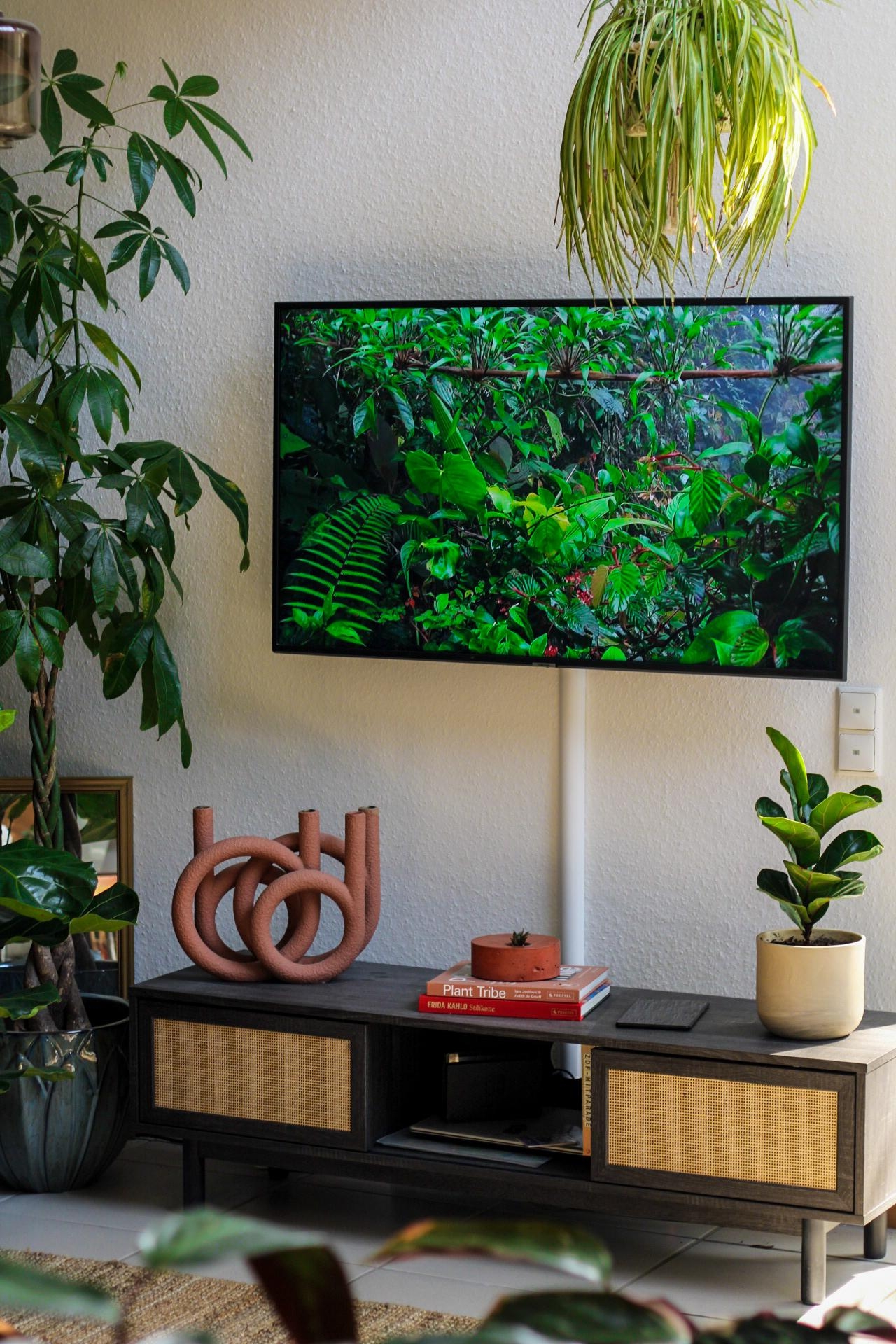 #TV
#Wohnzimmerdeko
#Wohnzimmer
#Wohnzimmergestaltung
#urbanjungle
#pflanzen