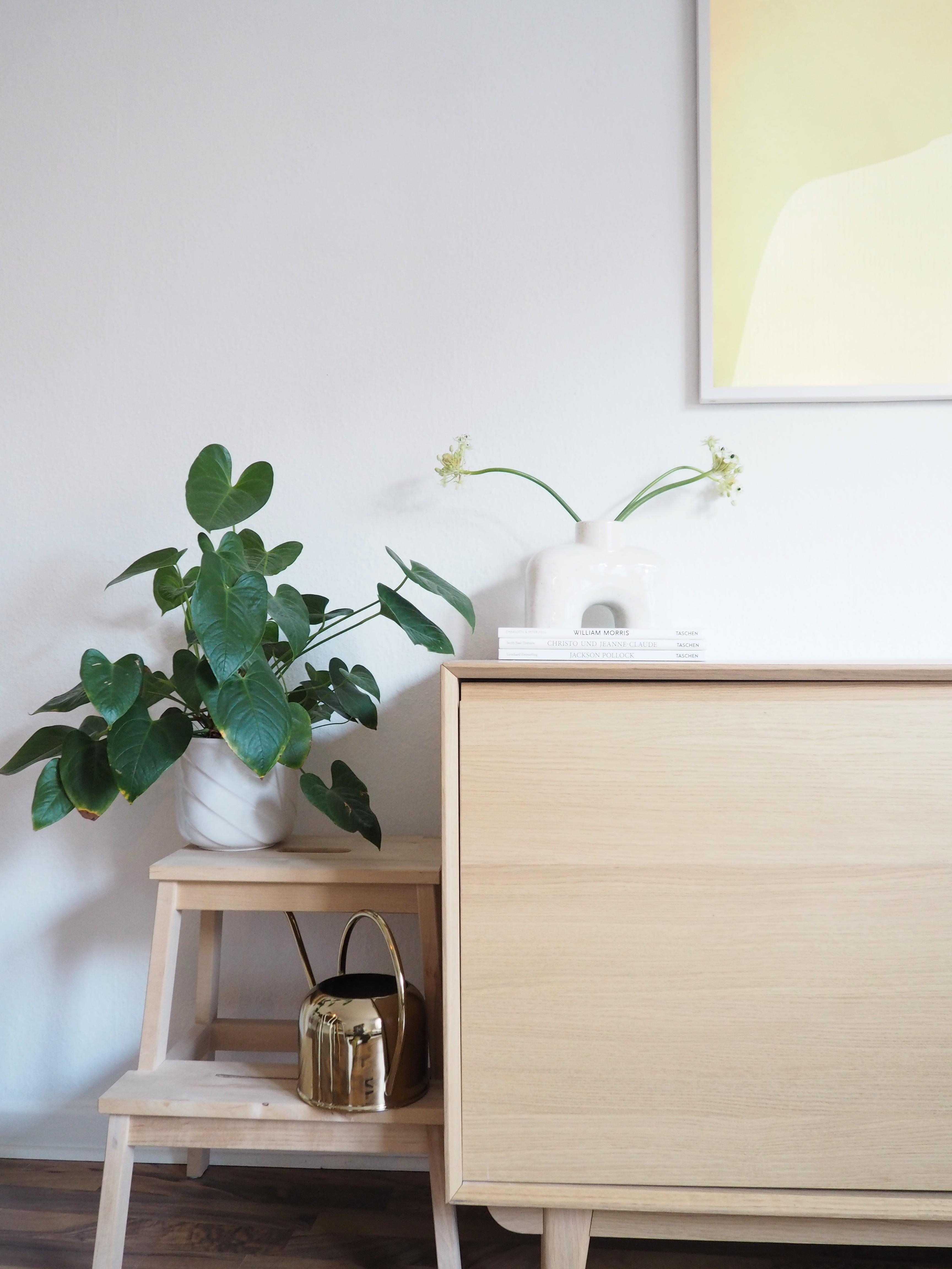 #tvmöbel #sideboard #vase #zimmerpflanzen #skandi #hygge #couchliebt #couchstyle 