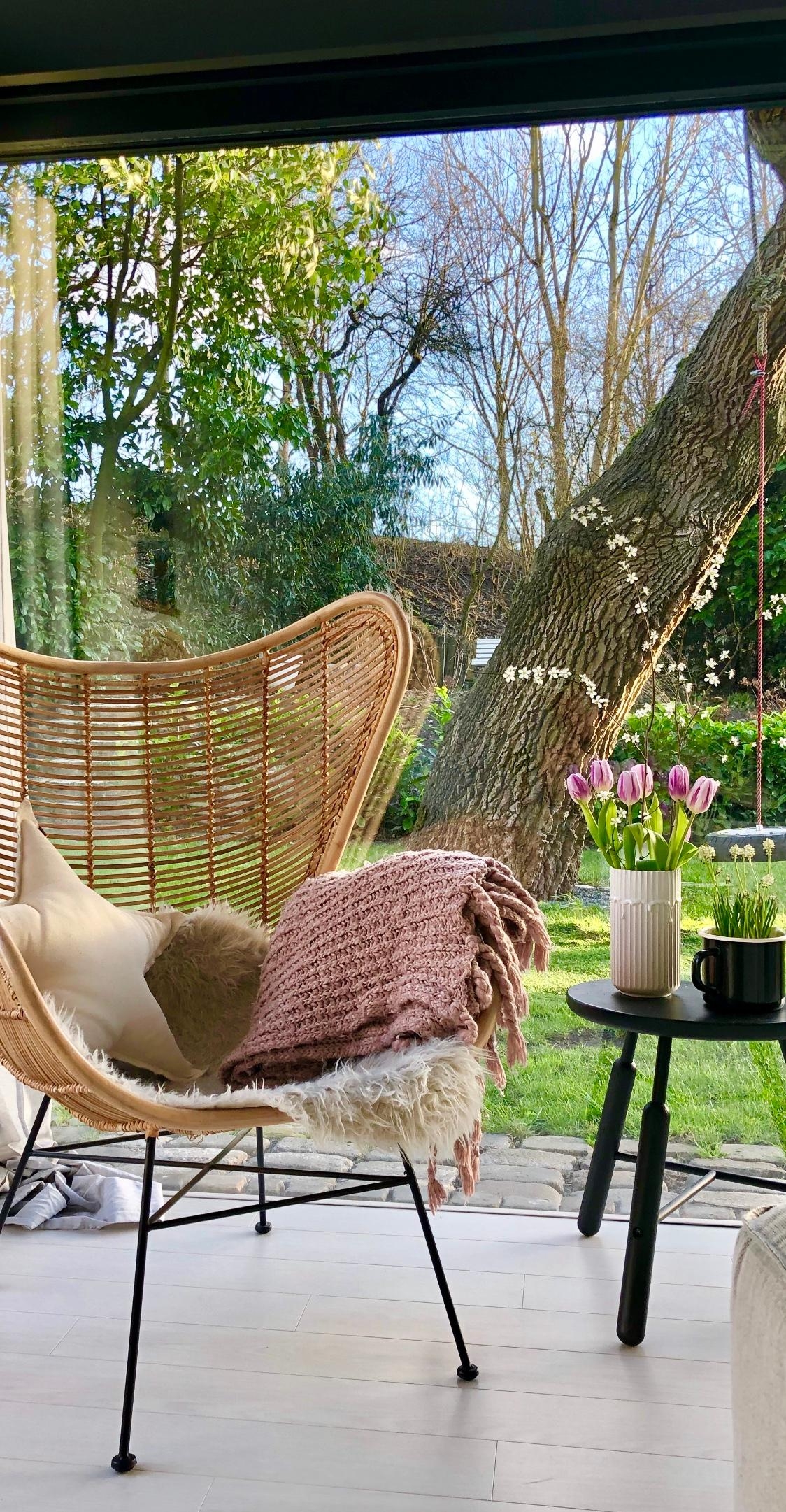 Überraschungstulpen...aus zartrosa wird lila 🤷🏼‍♀️
#couchstyle
