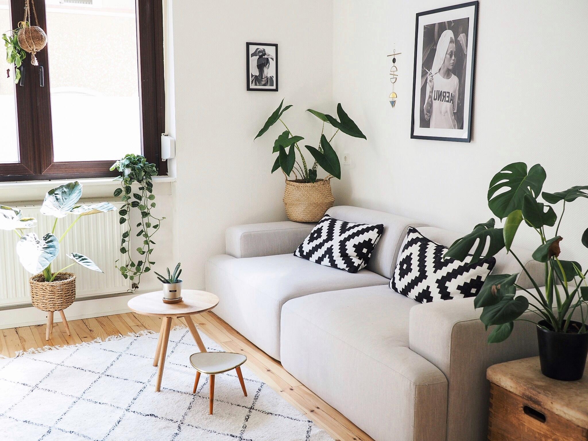 Und das Wohnzimmer darf natürlich auch nicht fehlen! 💫
#livingroom #couchliebt #couchstyle #couchmagazin #plantlover