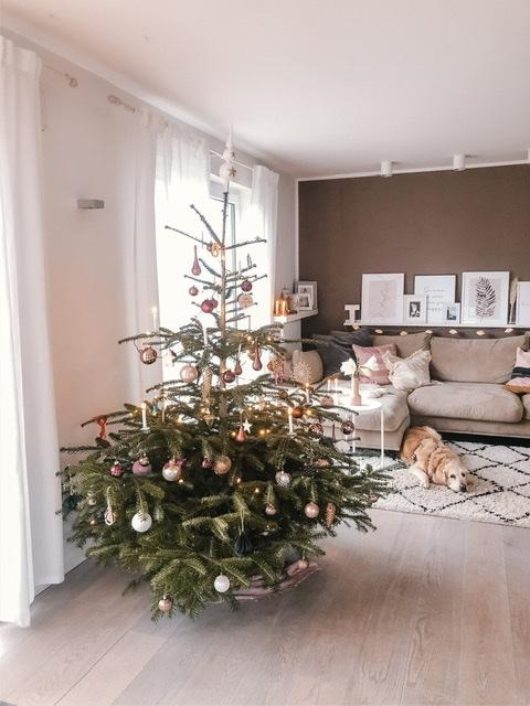 Und der Hund kann es auch kaum noch abwarten ⭐️ #weihnachtsbaum #christmasiscoming