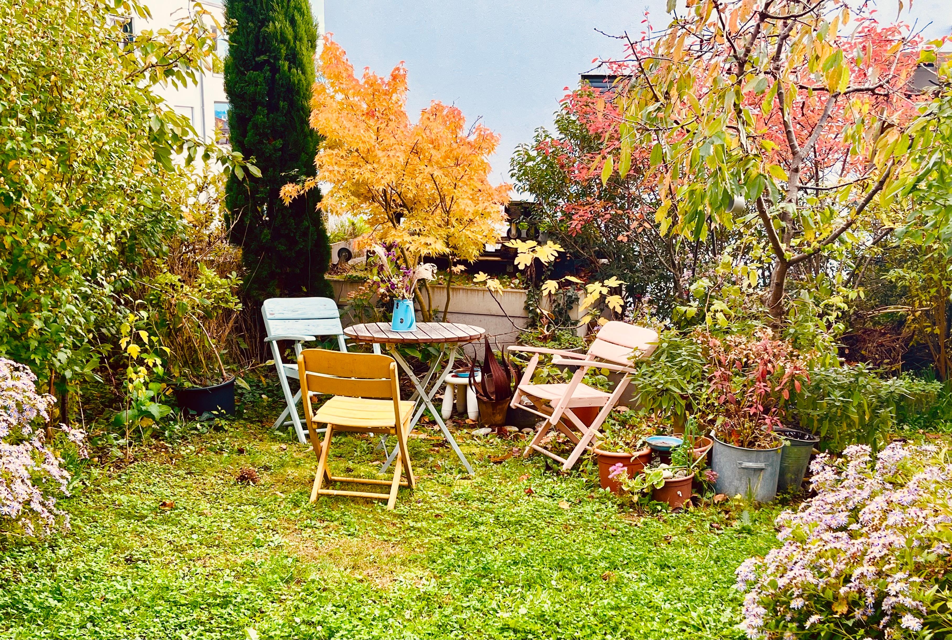 Und im Garten blüht es auch im #Herbst noch 