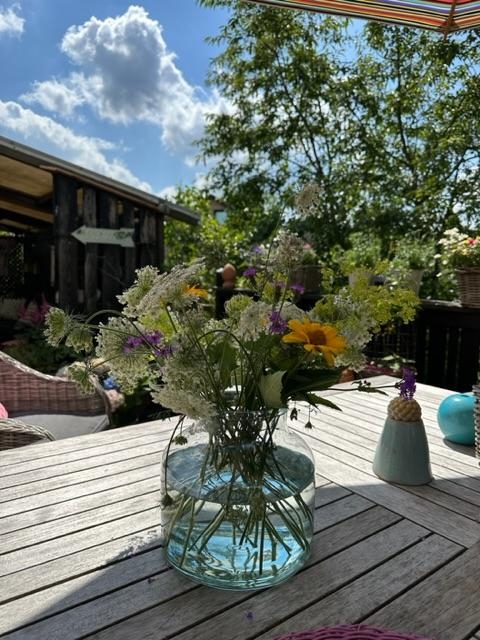 ...und noch einmal WildeMöhre 🤩.
#Blumen #Garten # Terrasse 