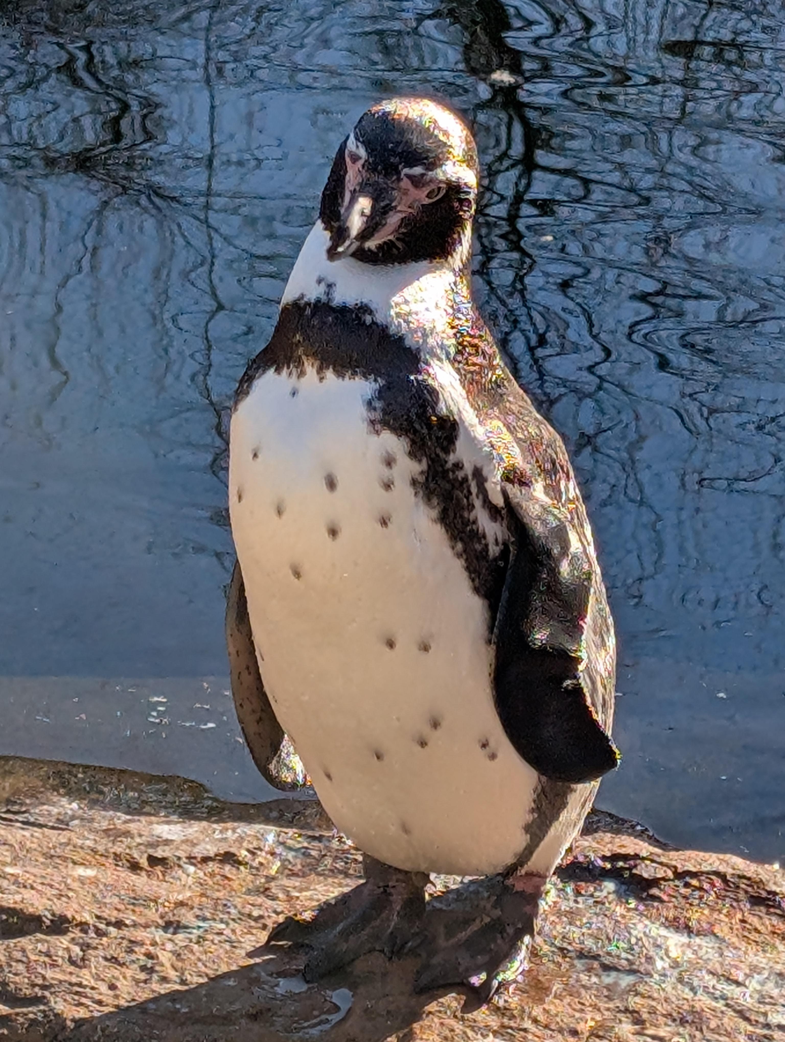 Ungeschminkt im Zoo🌼