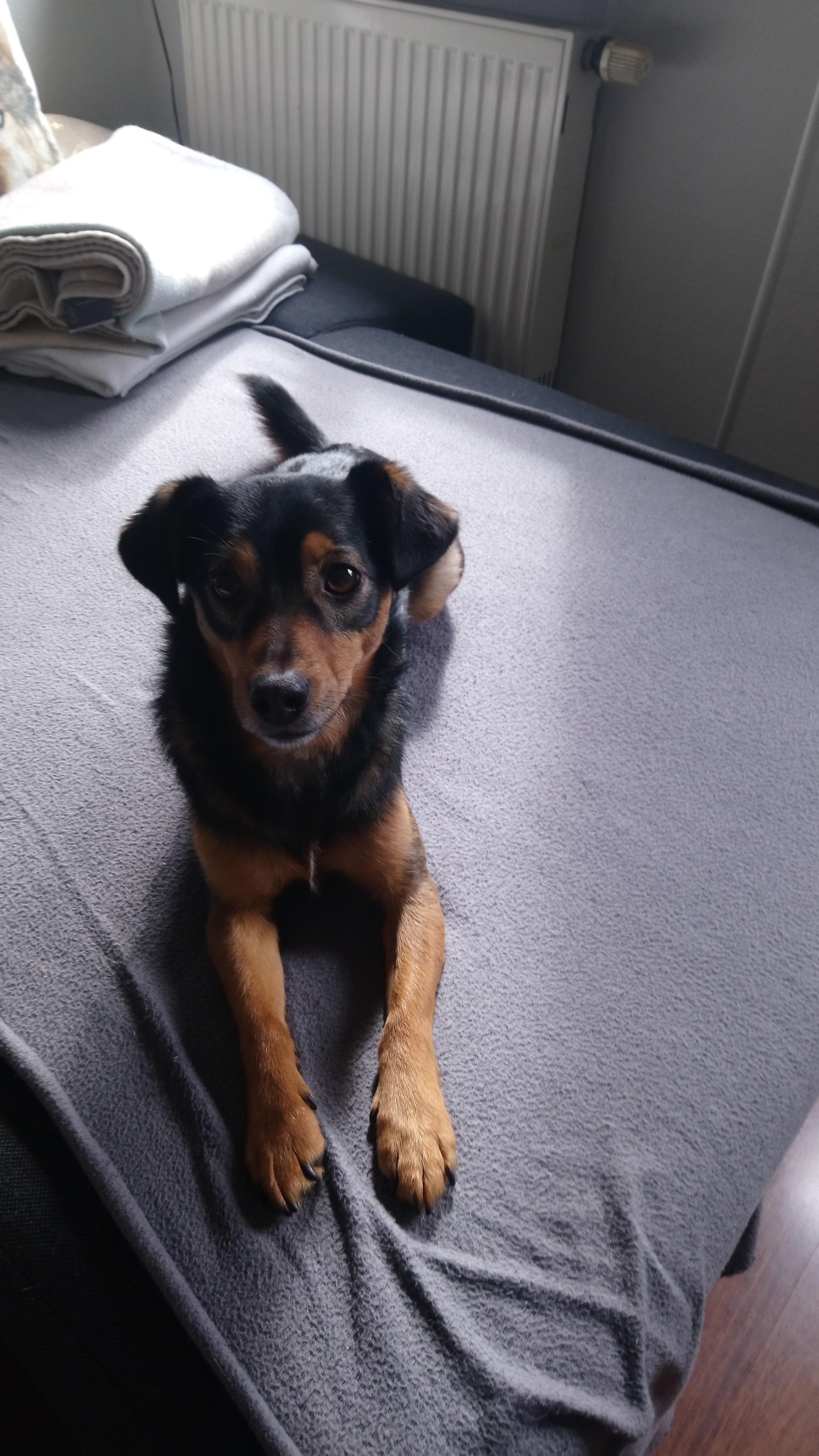 Unser Baby 🐶