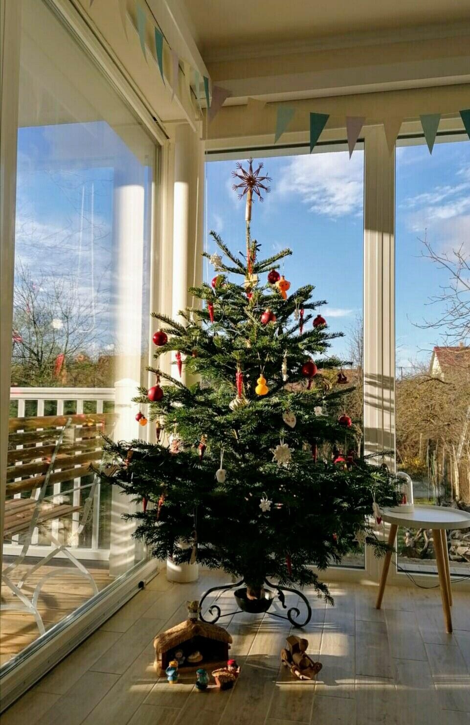 Unser Baum 🎄☺ #weihnachten #weihnachtsbaum