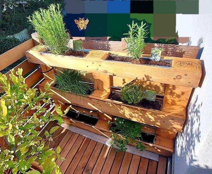 Unser DIY Kräuterhochbeet auf unserem Gemüsebalkon.

#grünerleben #hochbeet #diy #paletten

#grünerleben #balkon 