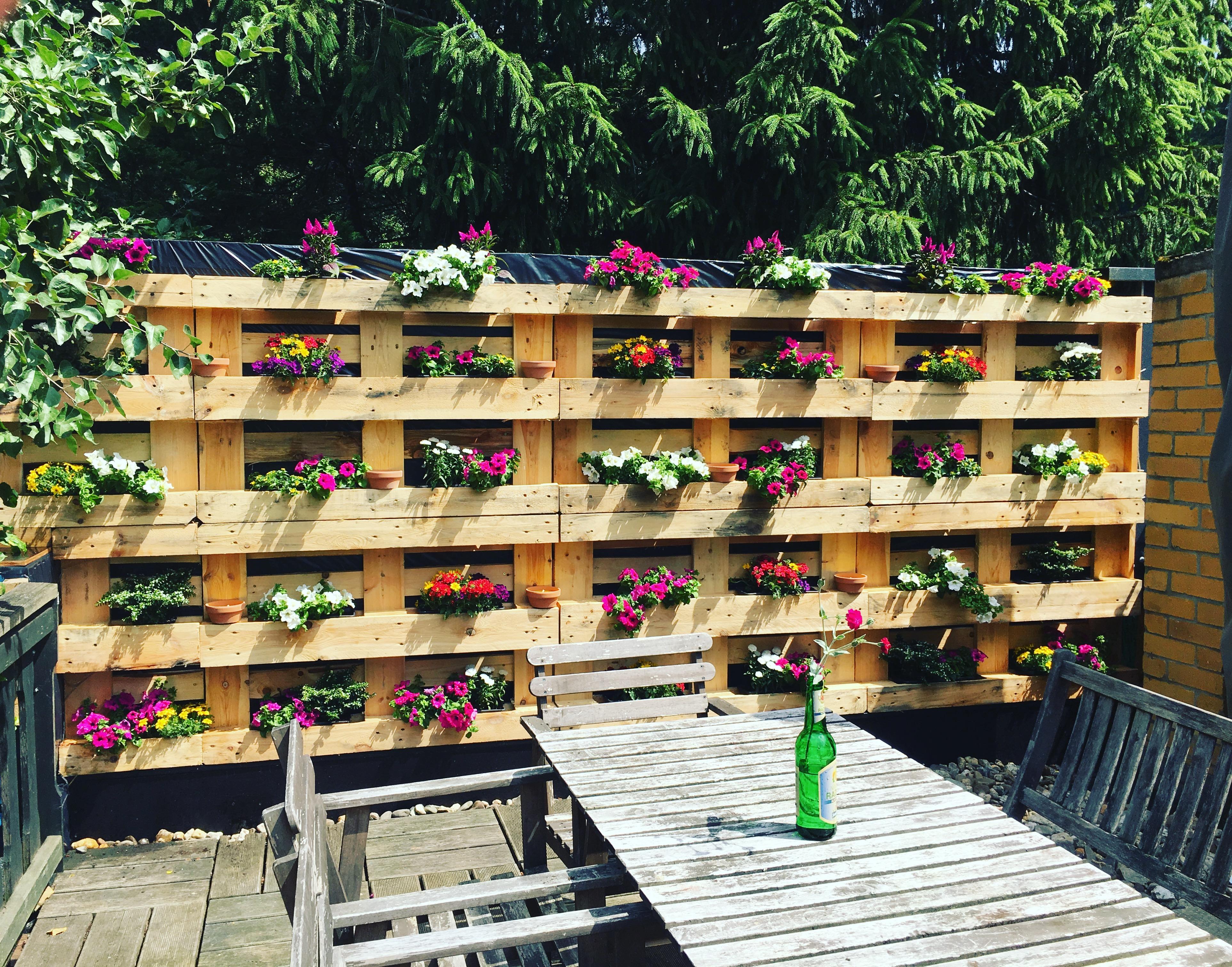 Unser #DIYPalettenprojekt bei Freunden auf der Terrasse: Eine Palettenblumenwand 😎💪 #vondirinspiriert #diyliebe