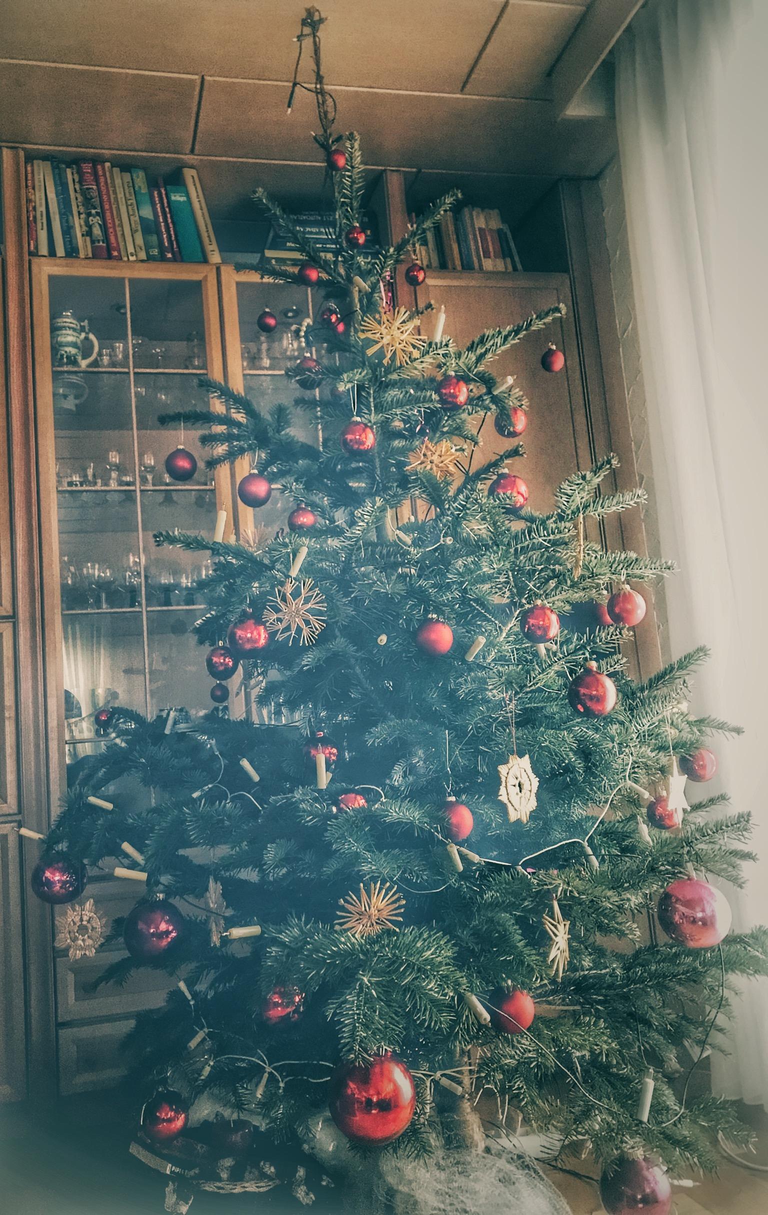 Unser klassischer Weihnachtsbaum!
#Weihnachtsbaum