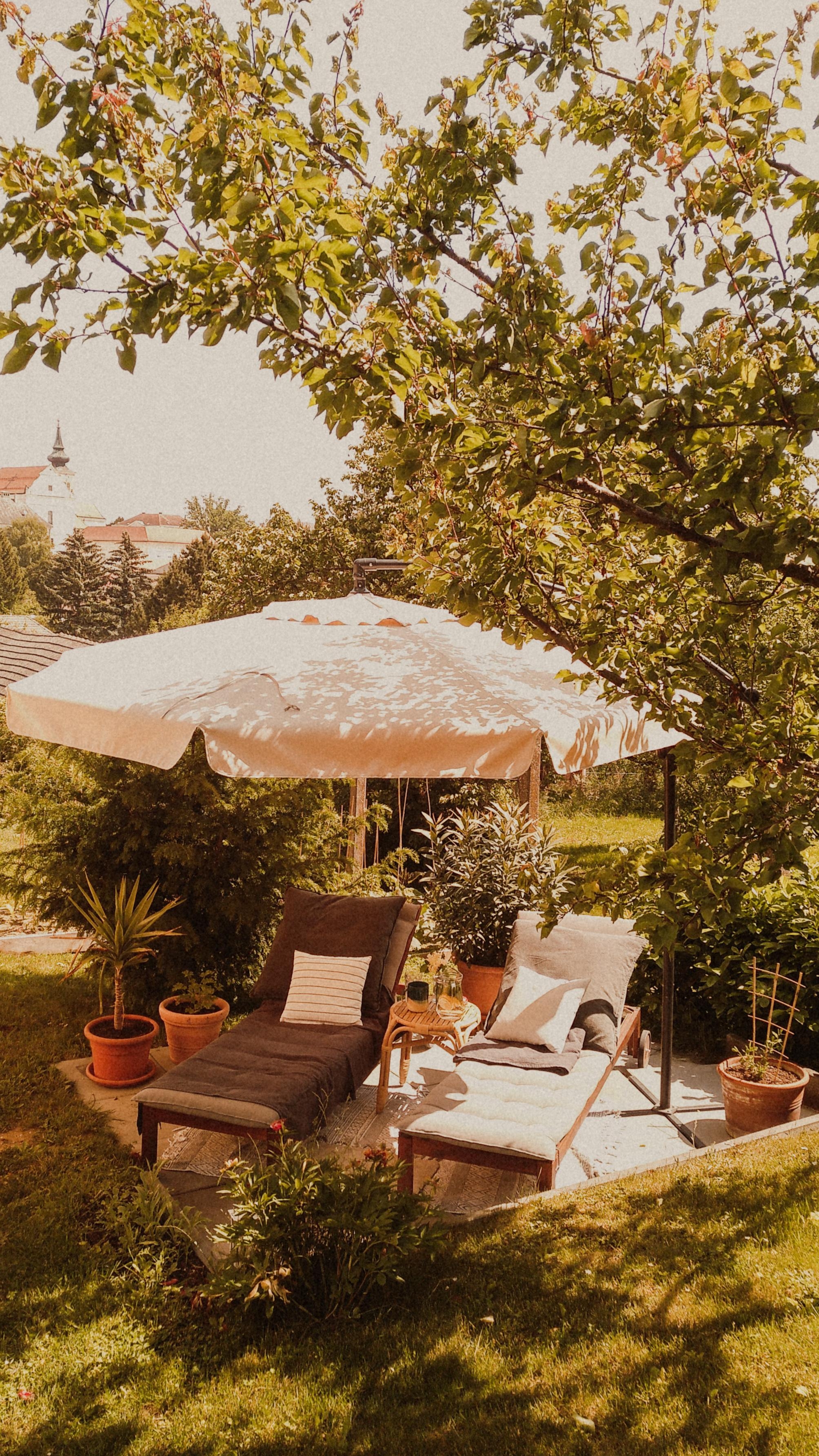 unser kleines paradies ✨✨ #paradise #garden #terrace #summer