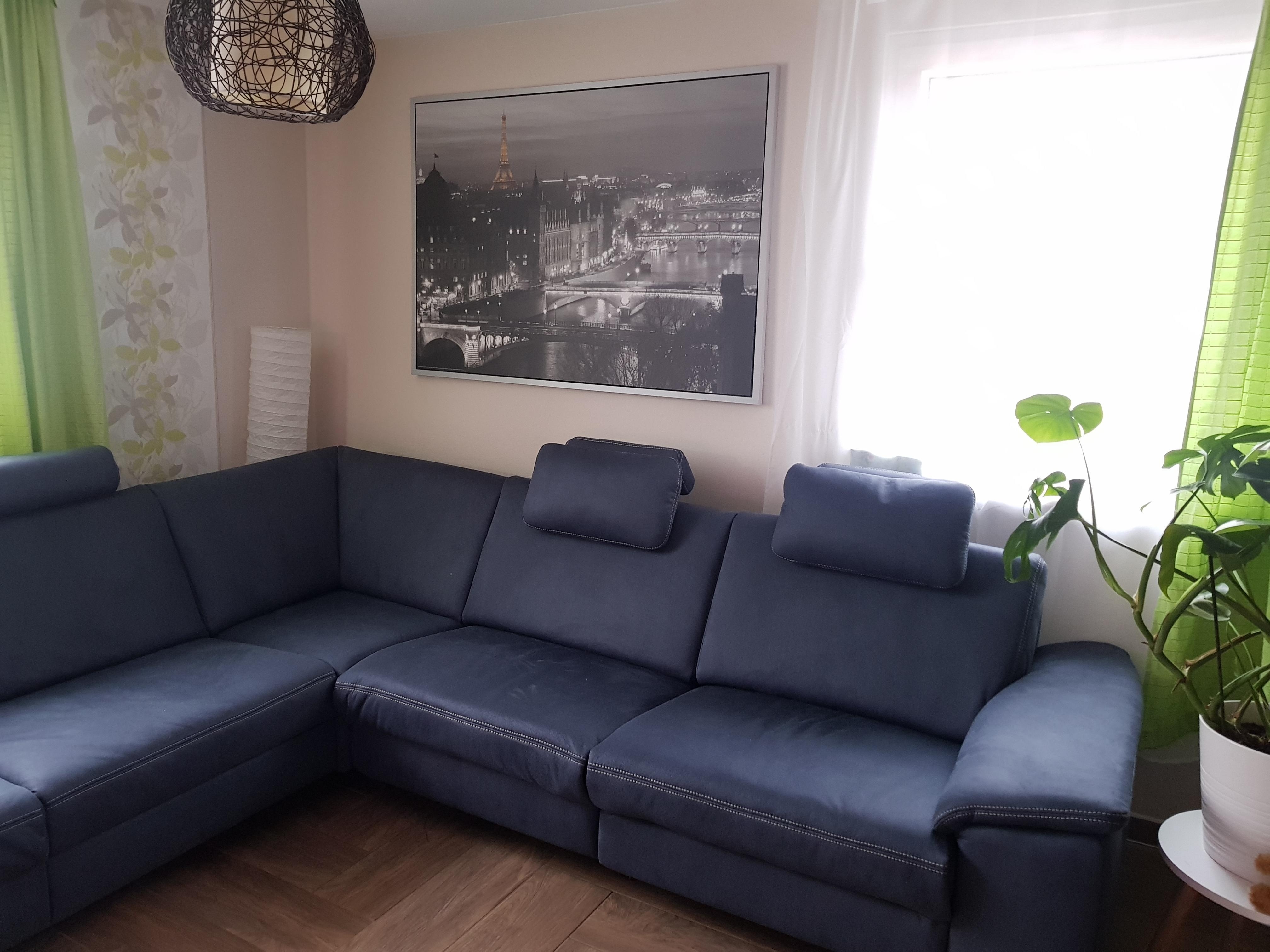 Unser neuer Mitbewohner #sofa #couchliebt #couch #kuschelzeit #auszeit
