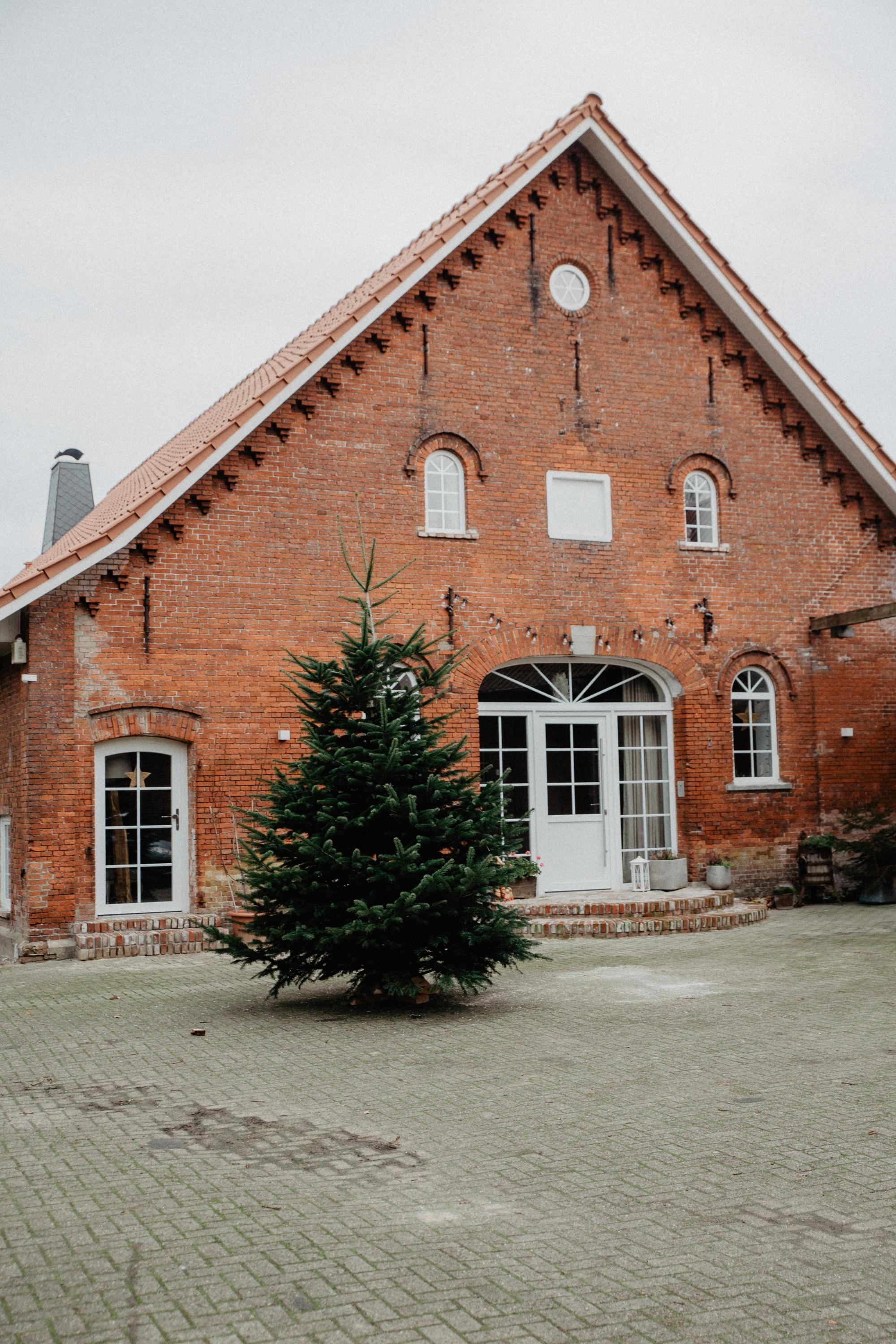 Unser Tannenbaum 🖤
#xmas #weihnachten #tannebaum #weihnachtsbaum #resthof