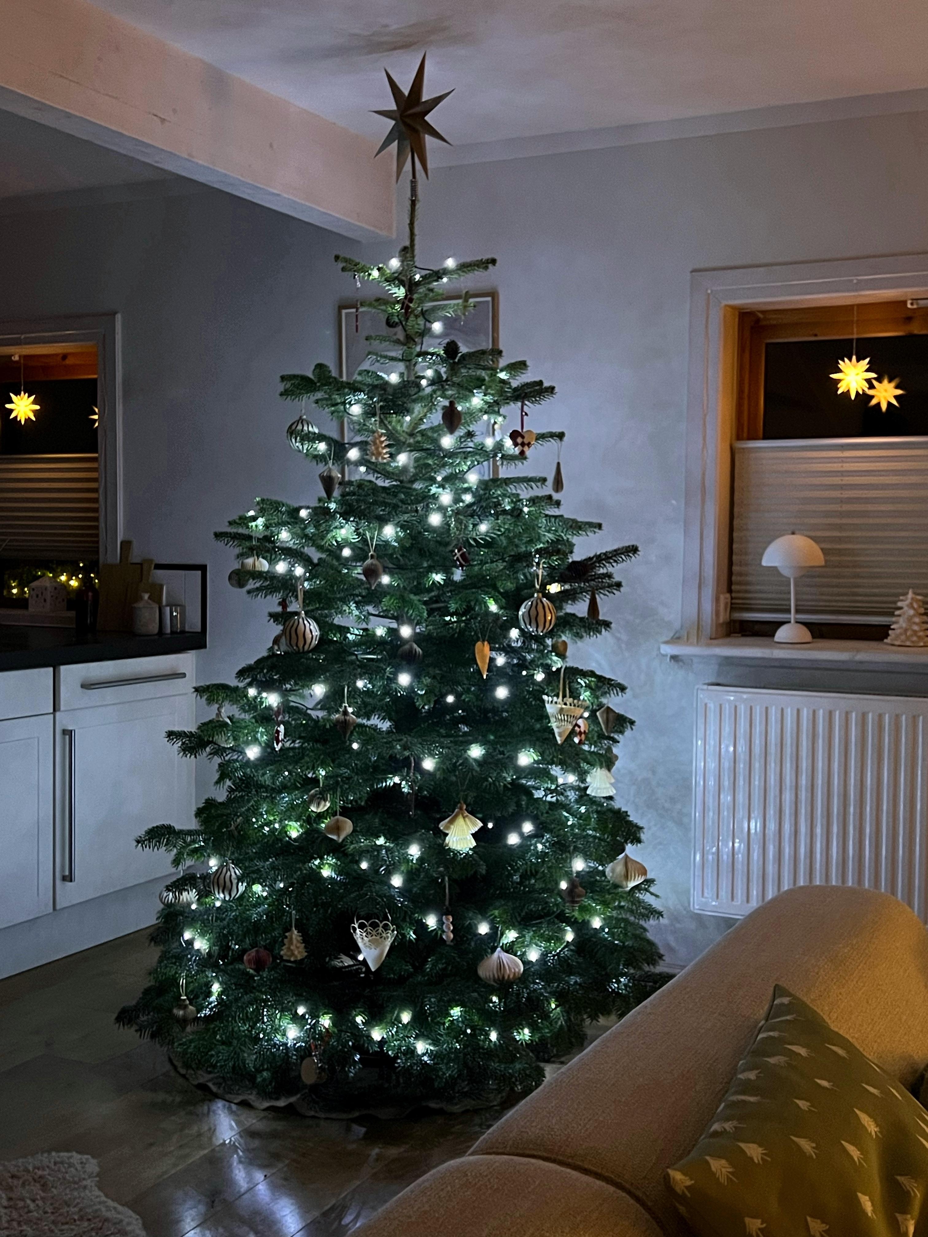 Unser Tannenbaum steht #weihnachten #tannenbaum #weihnachtsdeko #weihnachtsbaum