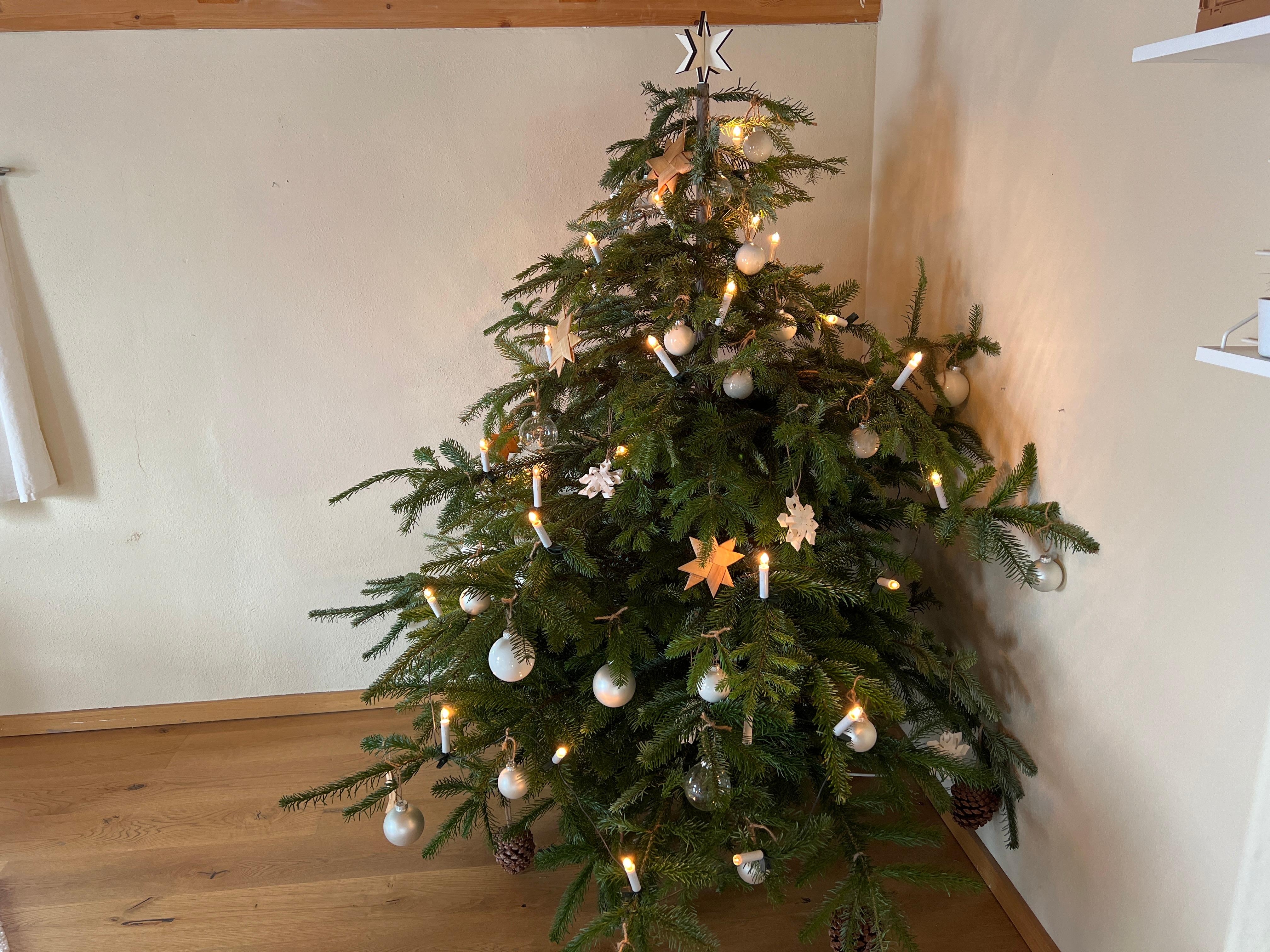 Unser Weihnachtsbaum 🎄 😍 