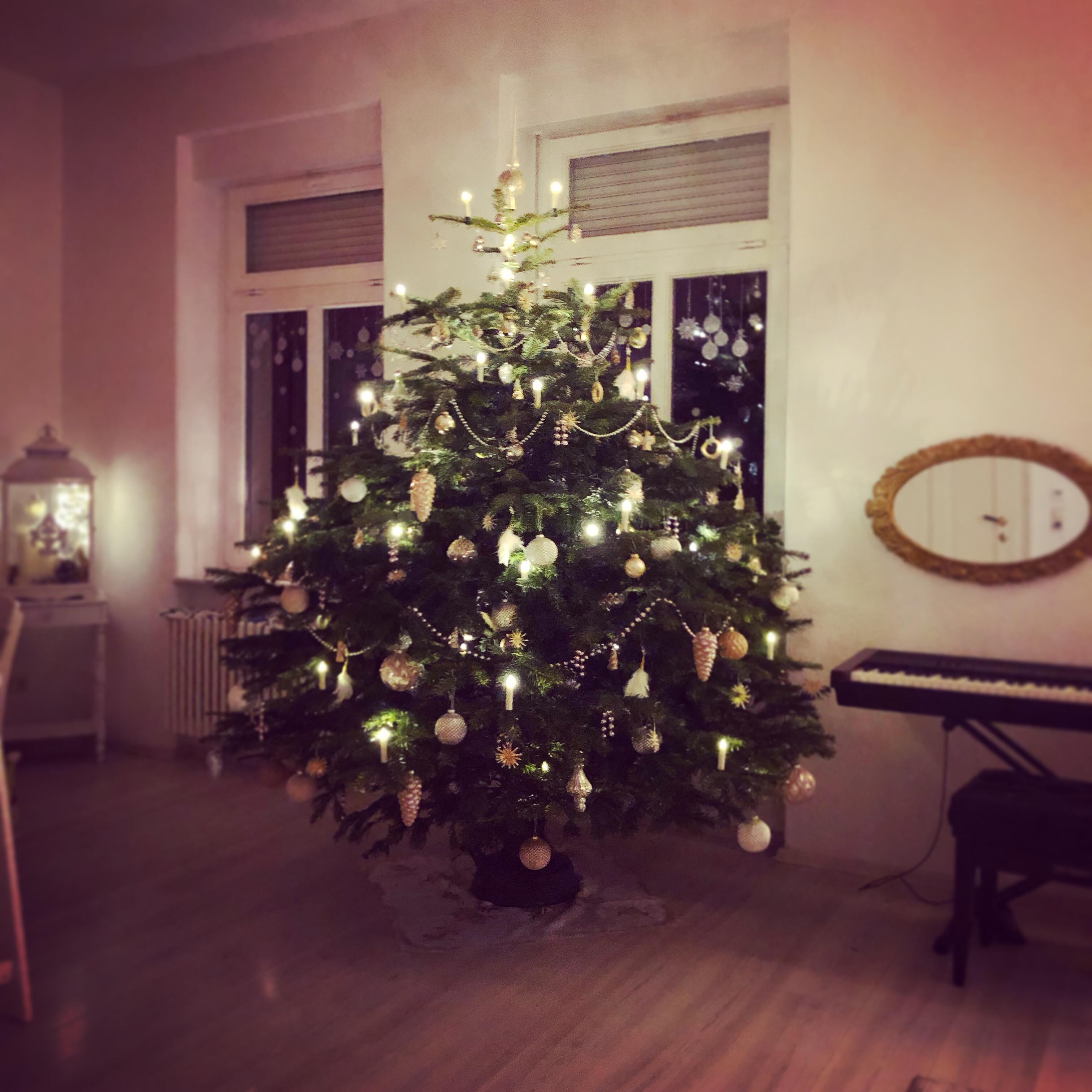 Unser Weihnachtsbaum 2019 🎄 Wir nennen ihn liebevoll Buschi 🎅