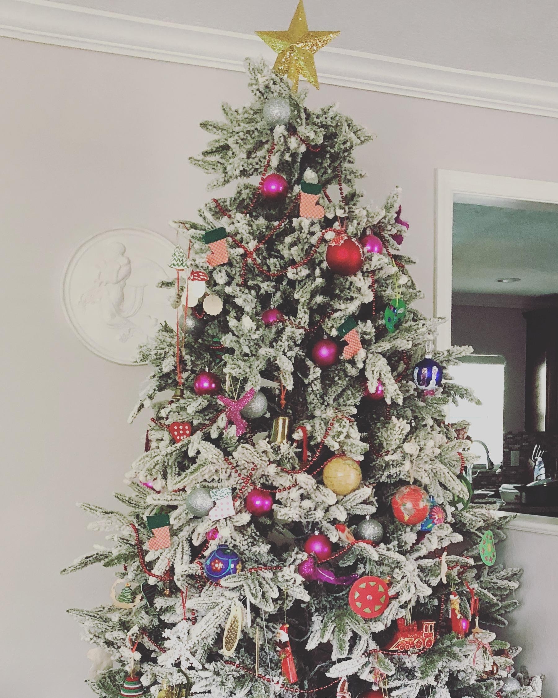 Unser Weihnachtsbaum steht