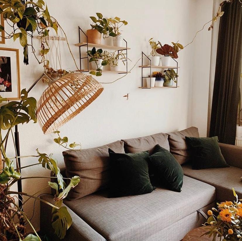 Unser Wohnzimmer #livingroom #wohnzimmer #urbanjungle #plants #pflanzen