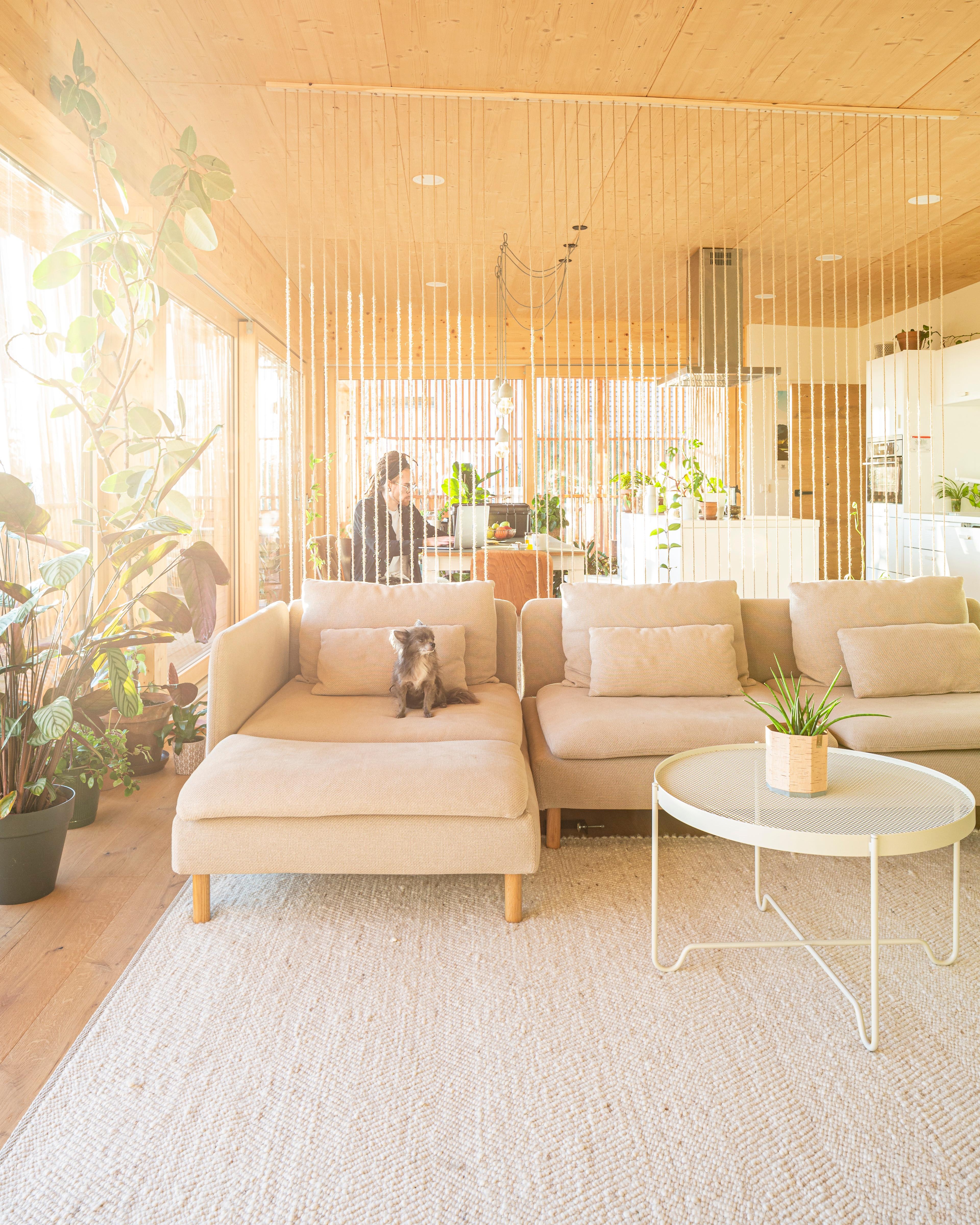 Unser Wohnzimmer, mit unserer DIY #plantwall im Hintergrund

#couchstyle #natürlichwohnen