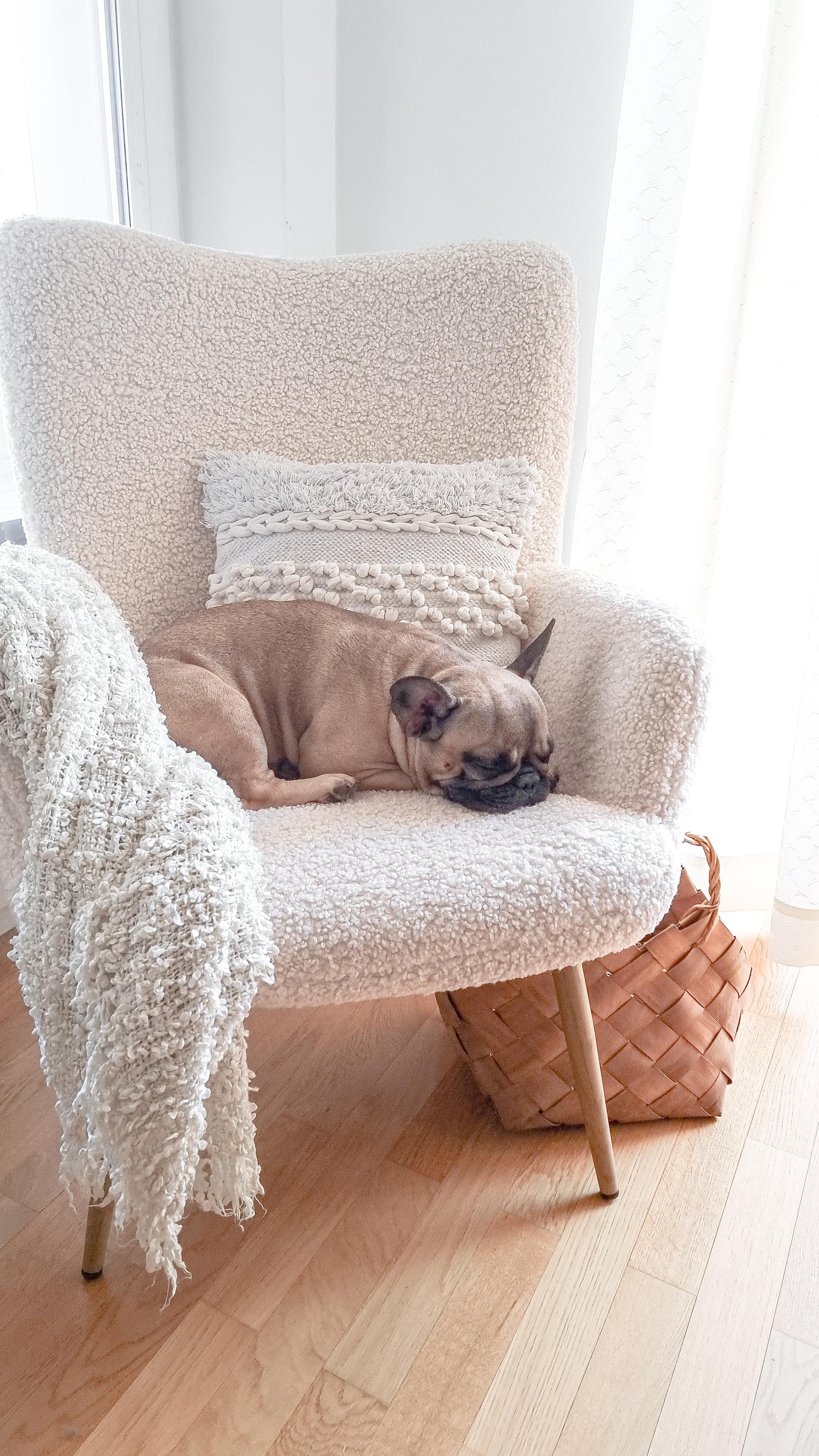 Unsere Eve🐶
Sie liebt den neuen Sessel mit Bouclé Stoff.
#inspohome #mynordicroom #homedecorblogger #couchmagazin #home