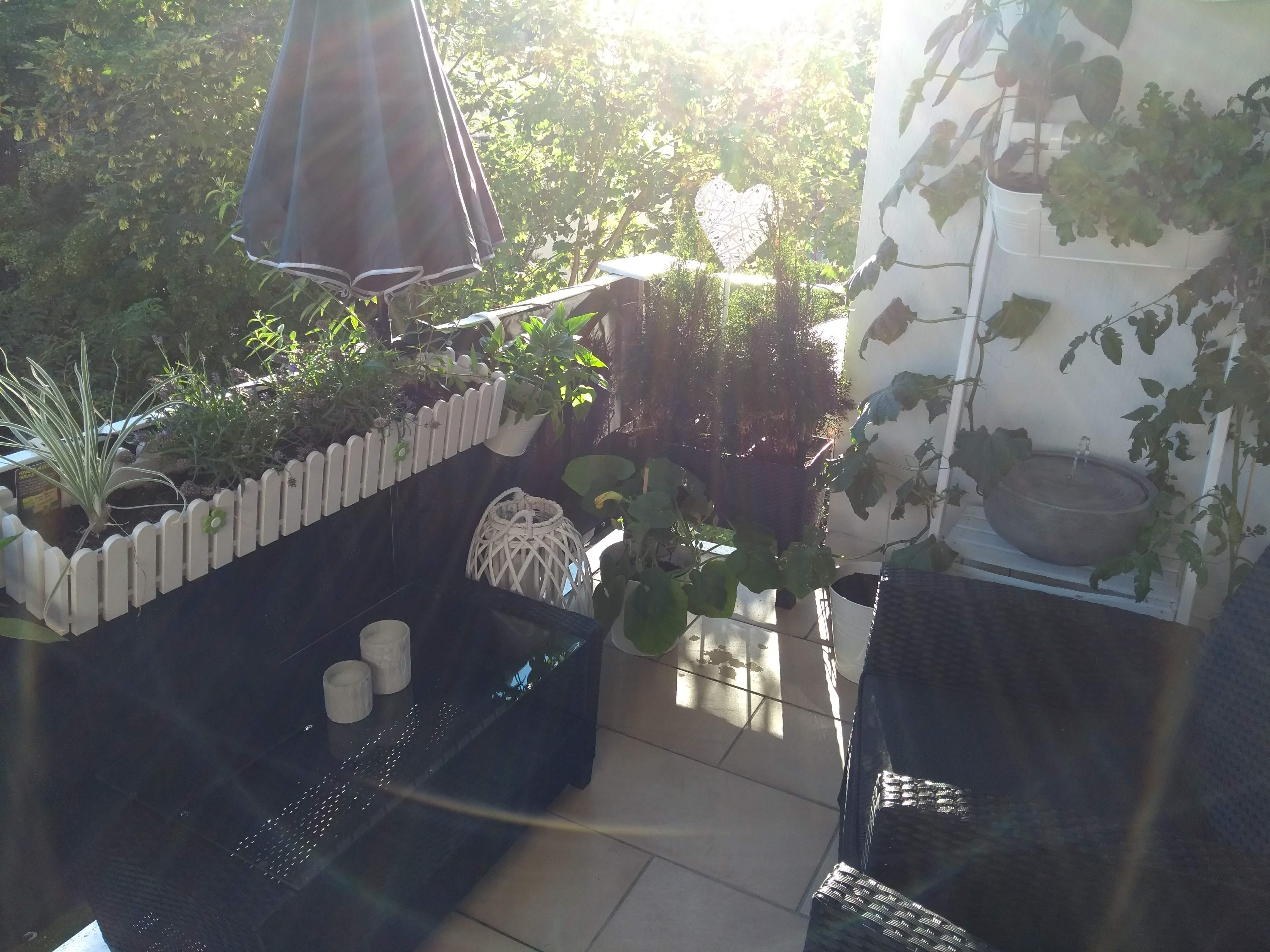 Unsere kleine grüne Oase im letzten Jahr #livingchallenge #plantlover #kleinaberfein #relax #balkon