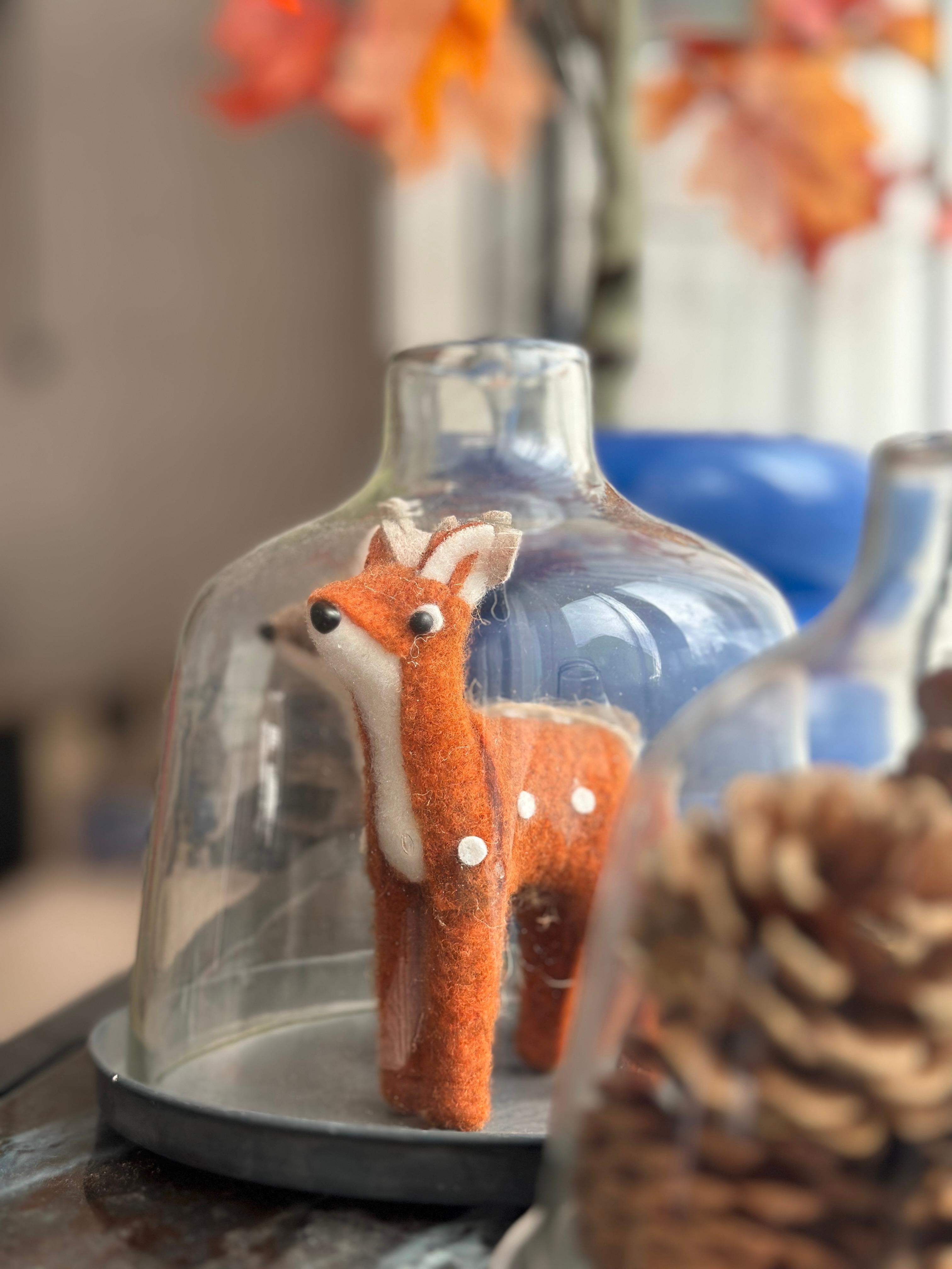 Unter der Haube 🧡 #rehe #bambi #dekoideen #herbst #herbstdeko #glashaube #windlicht #zapfen 