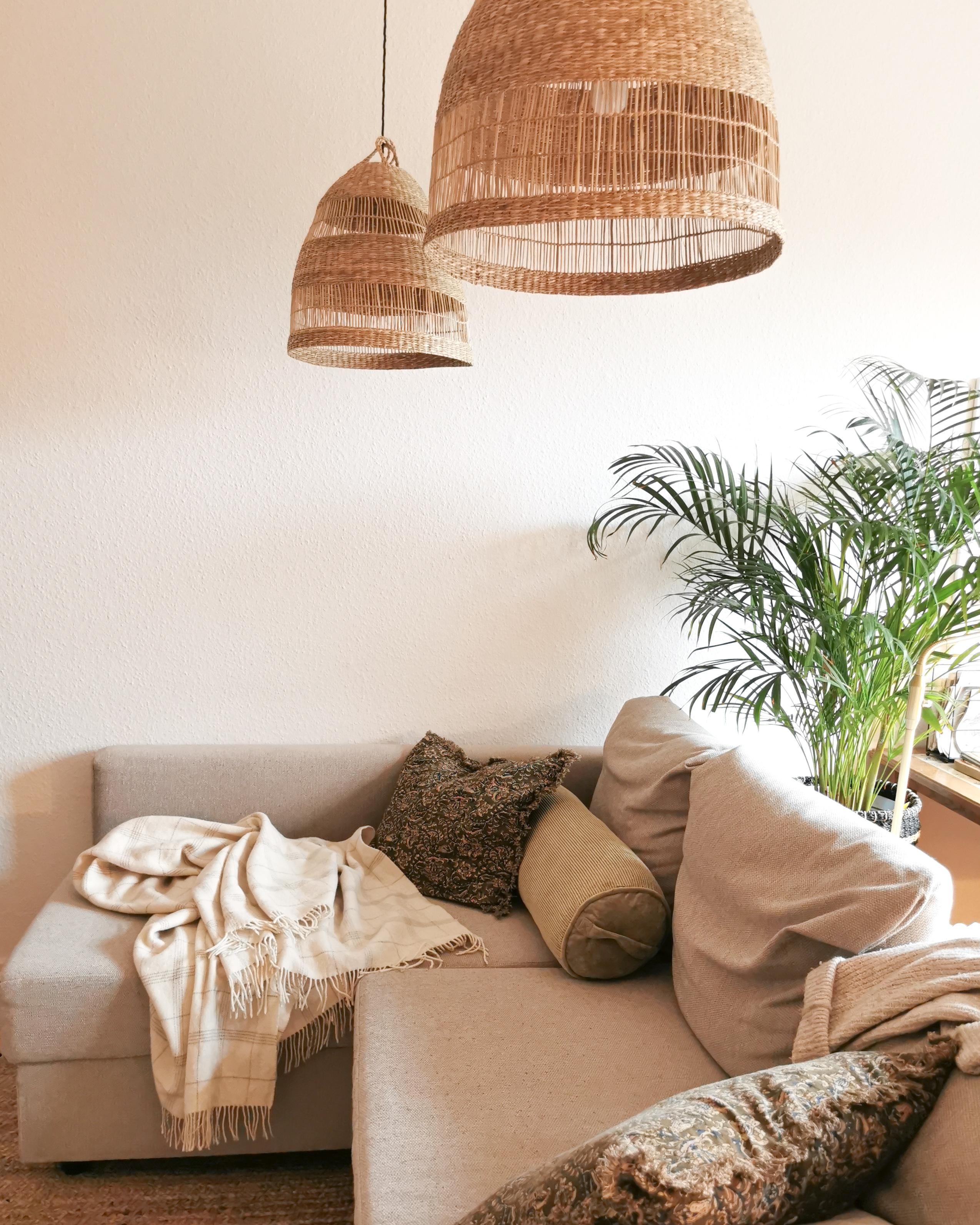 Unter Palmen lässt sich die Seele gut baumeln 🌴 #wohnzimmer #boho #sofa #palme #beige 