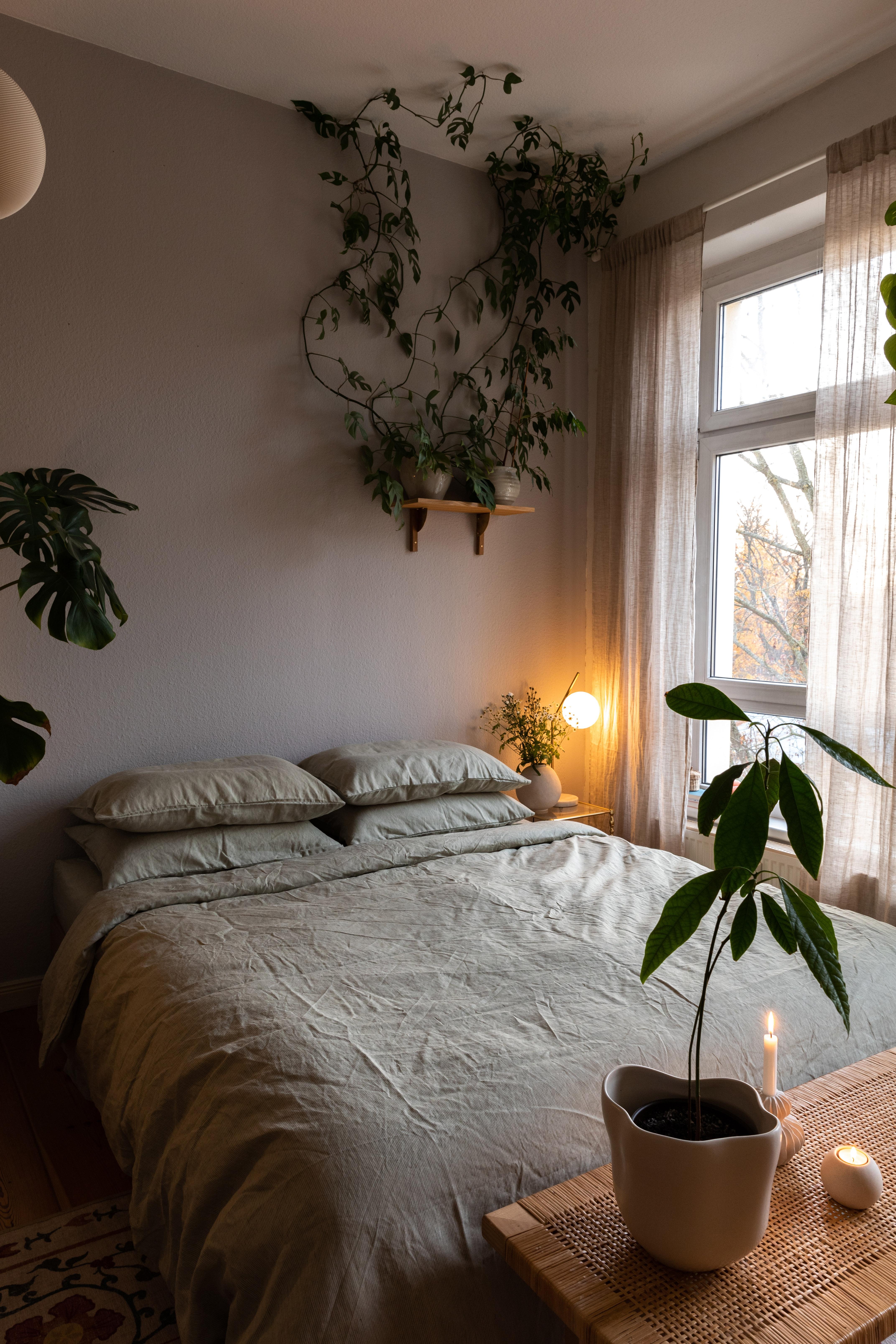 urban jungle bedroom #schlafzimmer #bedding #bedroom #bedroomdecor #home #cozyhome #urbanjungle