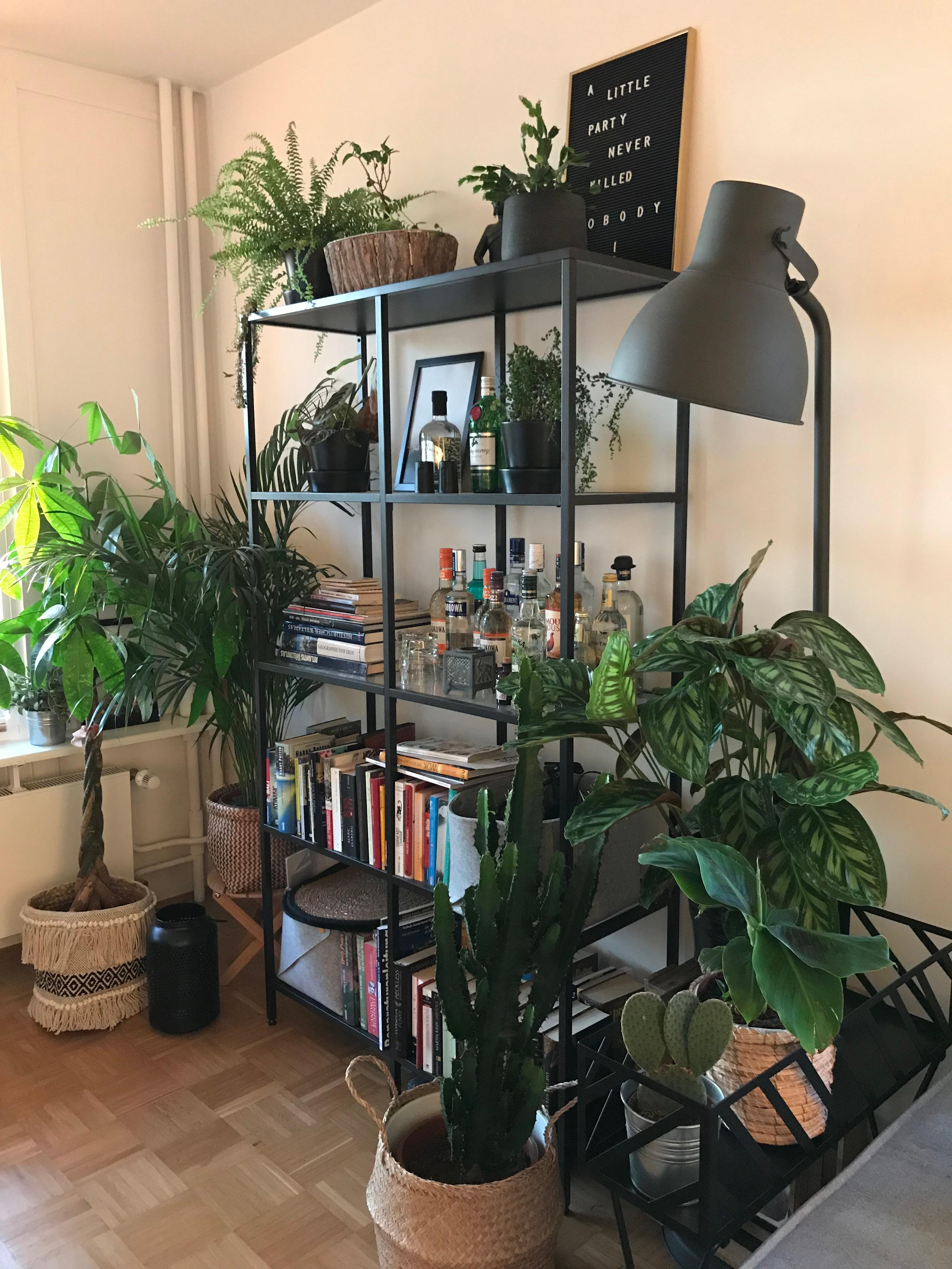 Industrial Look: Urbaner Chic fürs Wohnzimmer