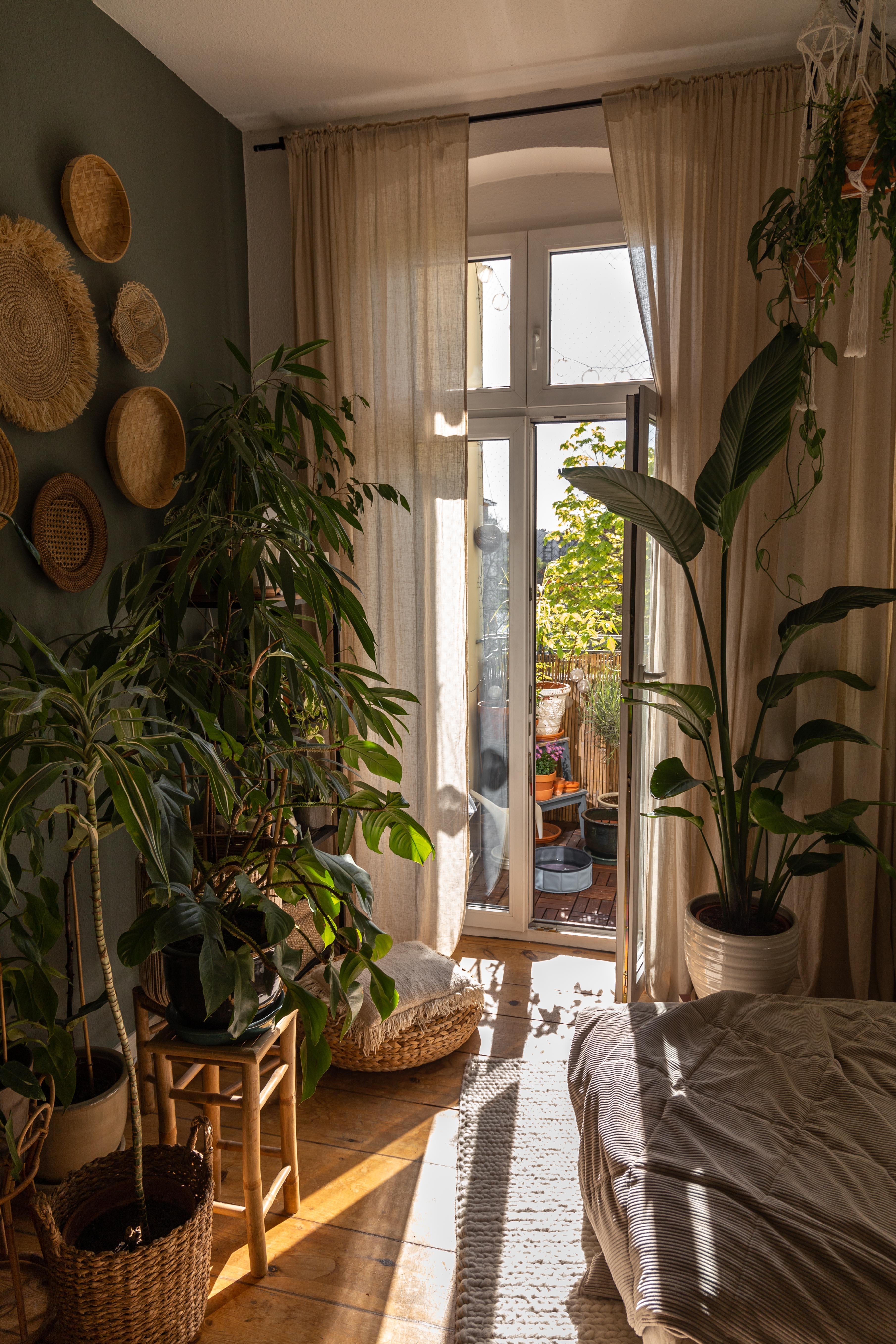 #urbanjungle #livingroom #livingroominspo #houseplants #altbauliebe #einrichtung #interiorinspiration #interiordesign 