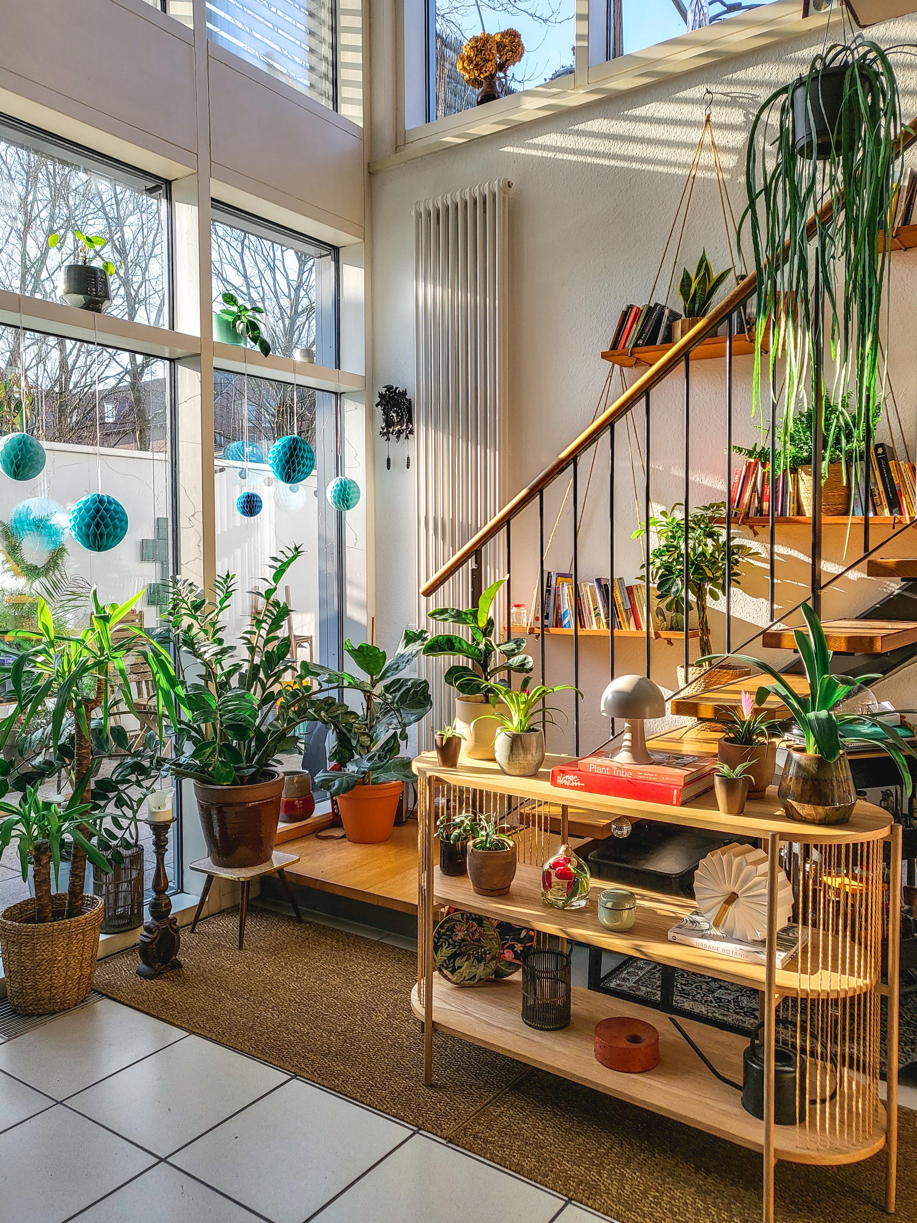 #urbanjungle
#sideboard
#Sonne
#Wohnzimmer
#Pflanzen
#bücherregal