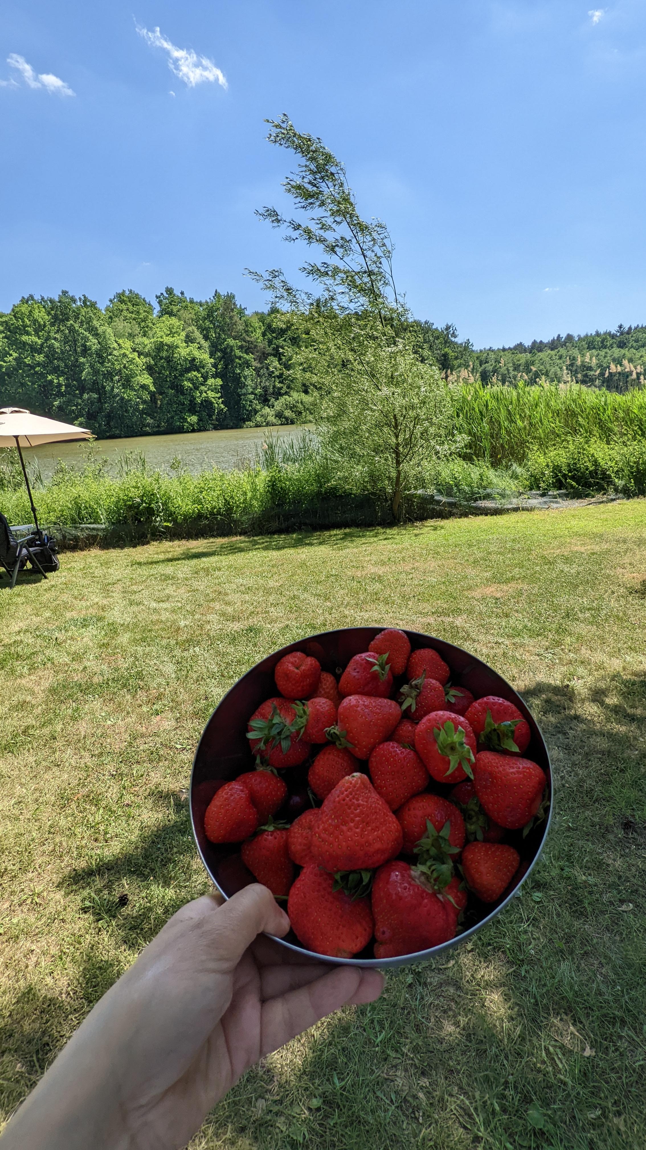 Urlaub mit dem Wohnmobil und draußen Erdbeeren und Kirschen . 🤩
#urlaub #landleben #sommer #picknick #urlaubsfoto