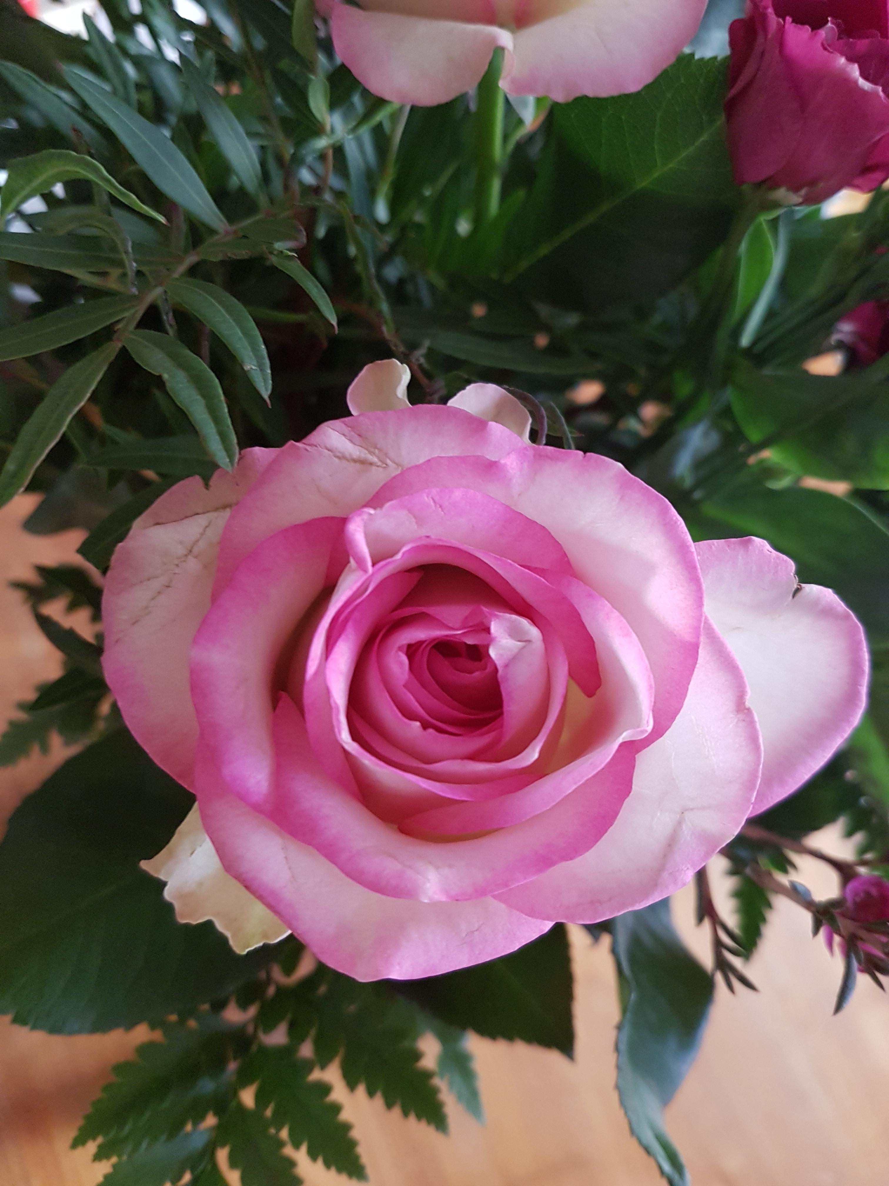 #Valentine #surprise
#rose #pink #Blumenstrauß 