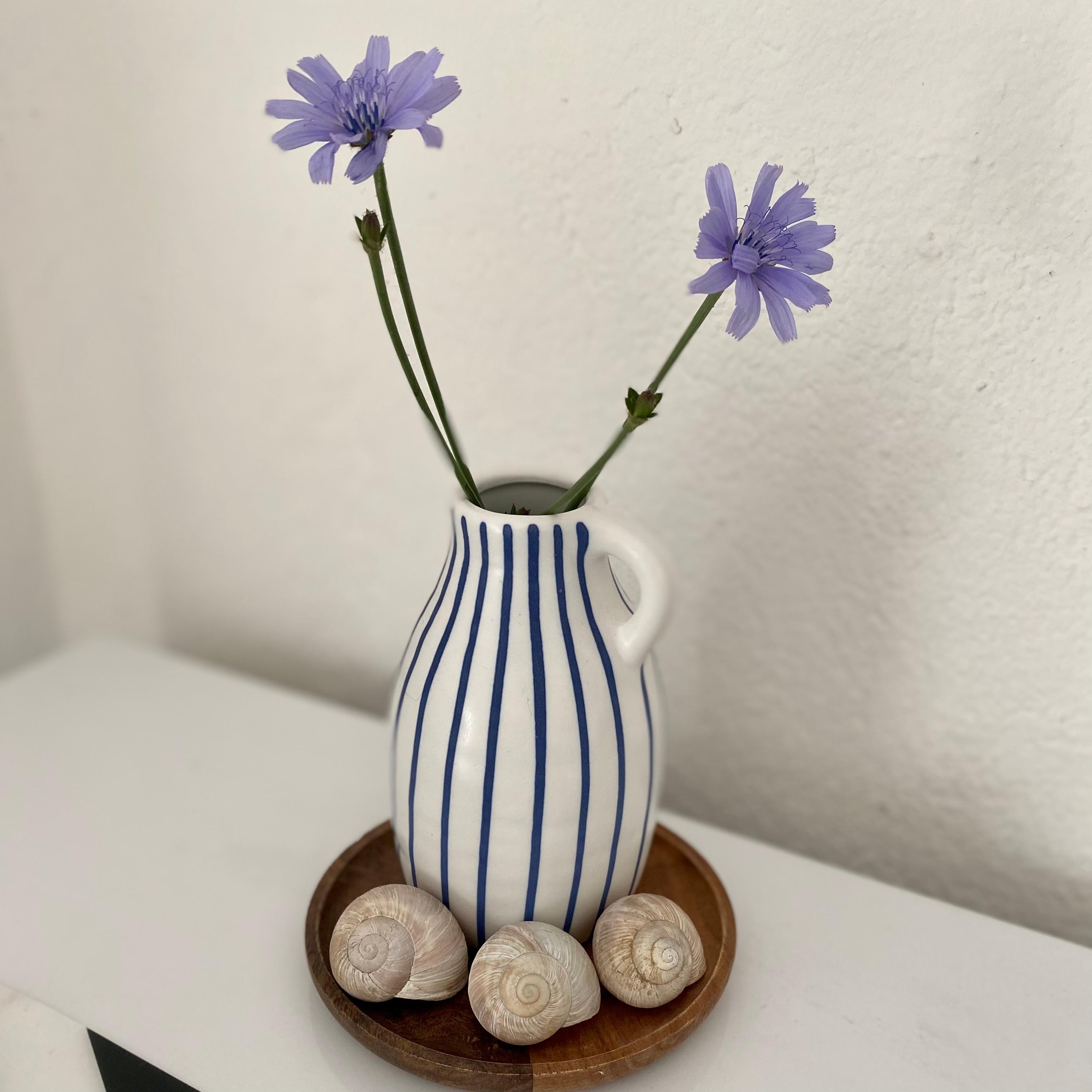 Vase bei Ikea mitgenommen, Kornblumen heute gepflückt und dann rasch arrangiert. Die Schneckenhäuser hab ich gefunden