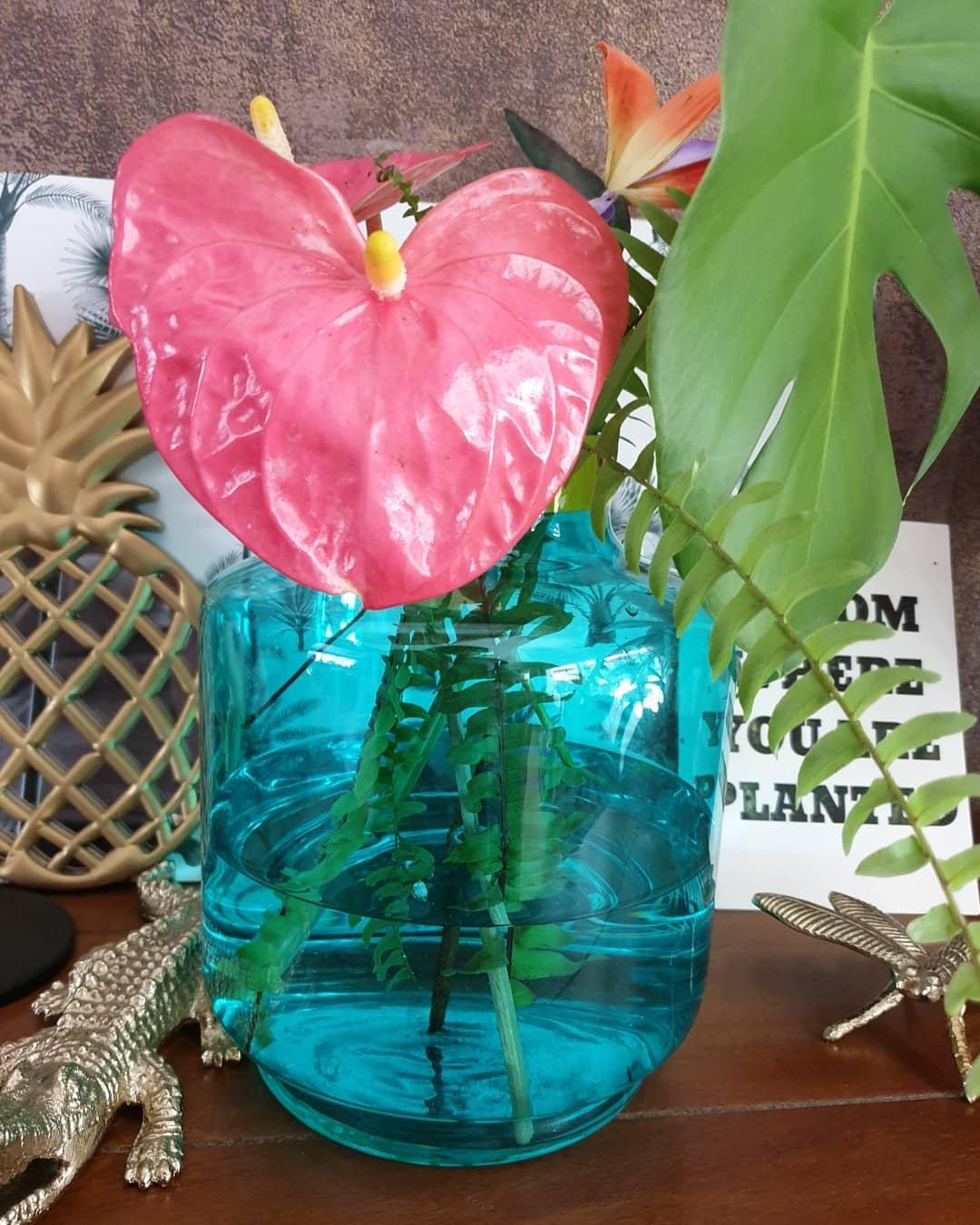 #vase #flower #blumen #tropicalvibes 