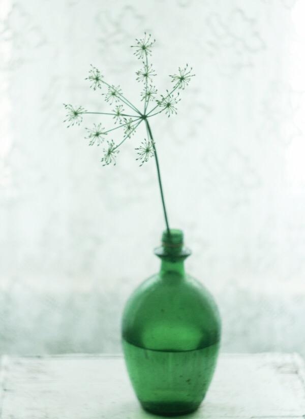 #vase#couchliebt#deko#pflanzen#licht#grün