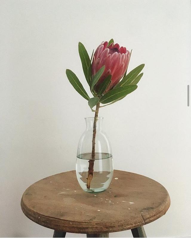 #vasen #altbauliebe #protea #vintageinterior #werkstatthocker #skandinavischwohnen