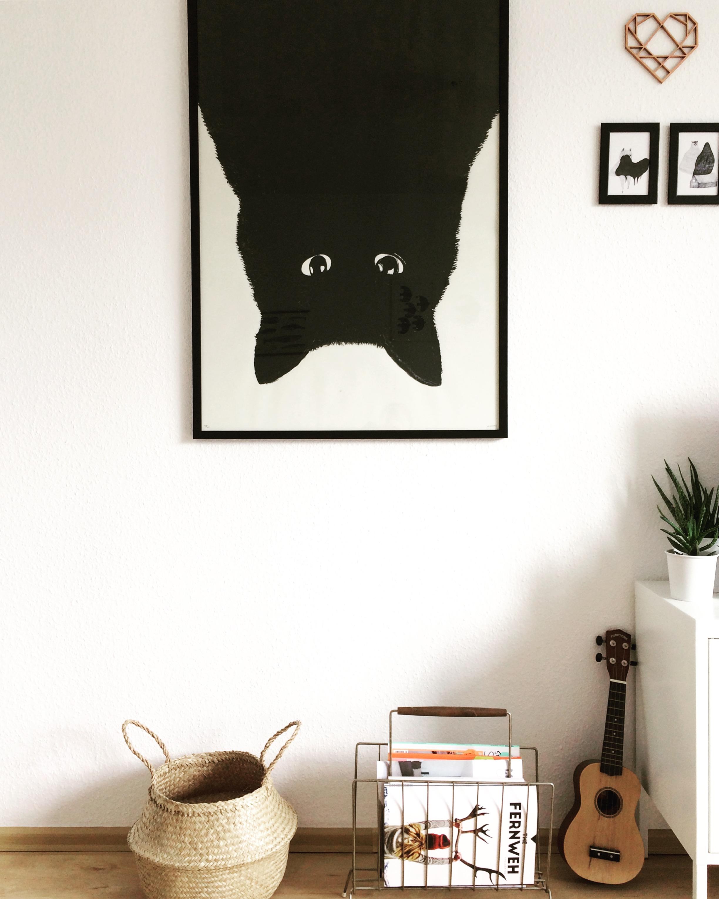 Verliebt in meinen Catprint wie am ersten Tag 🖤 #catprint #couchliebt #forcatlovers 