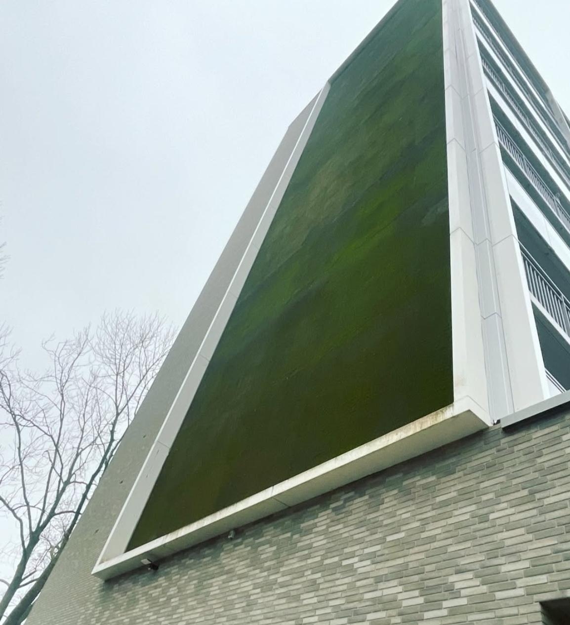 Vertical Green 
We did it 