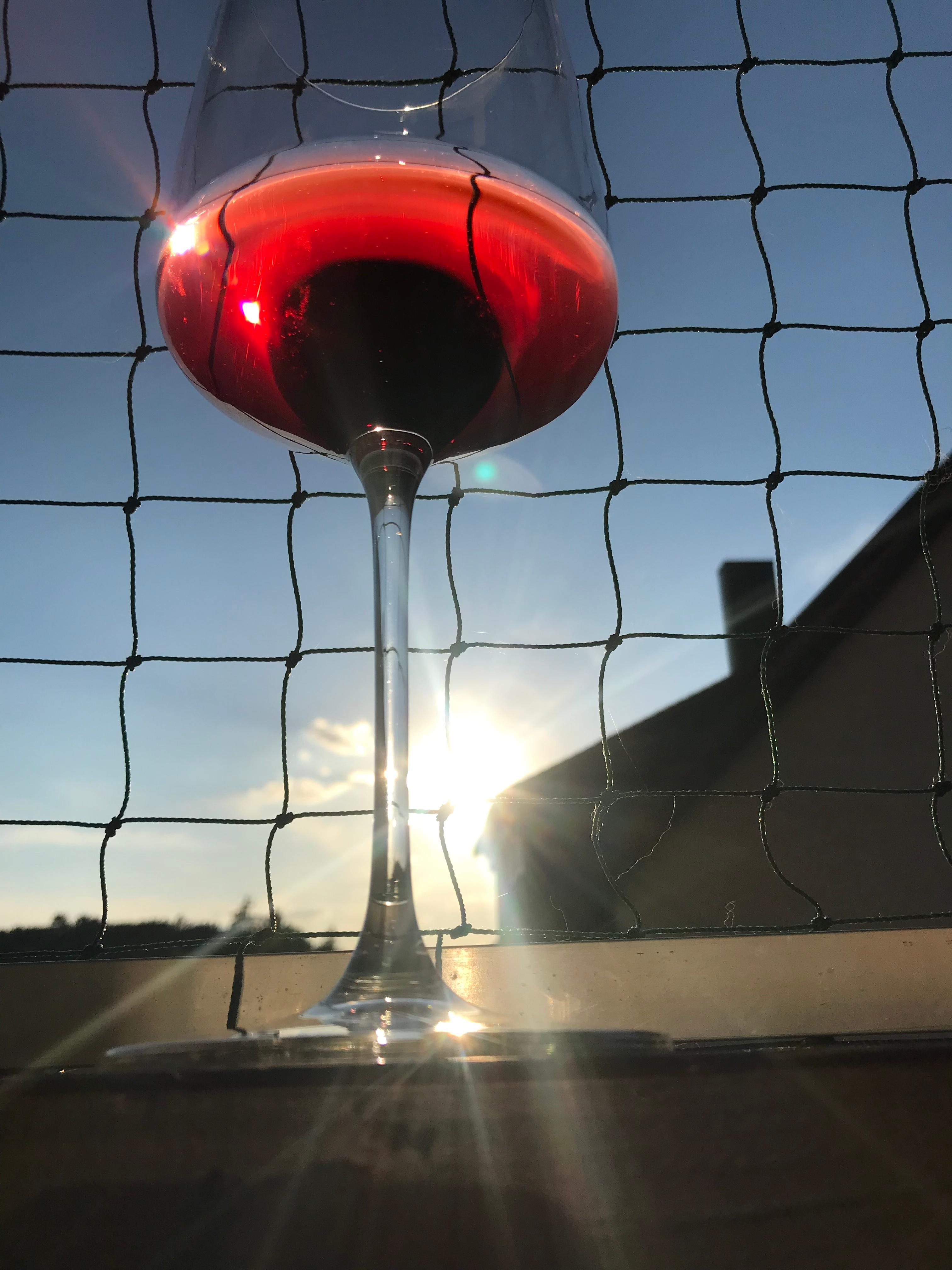vino & sun