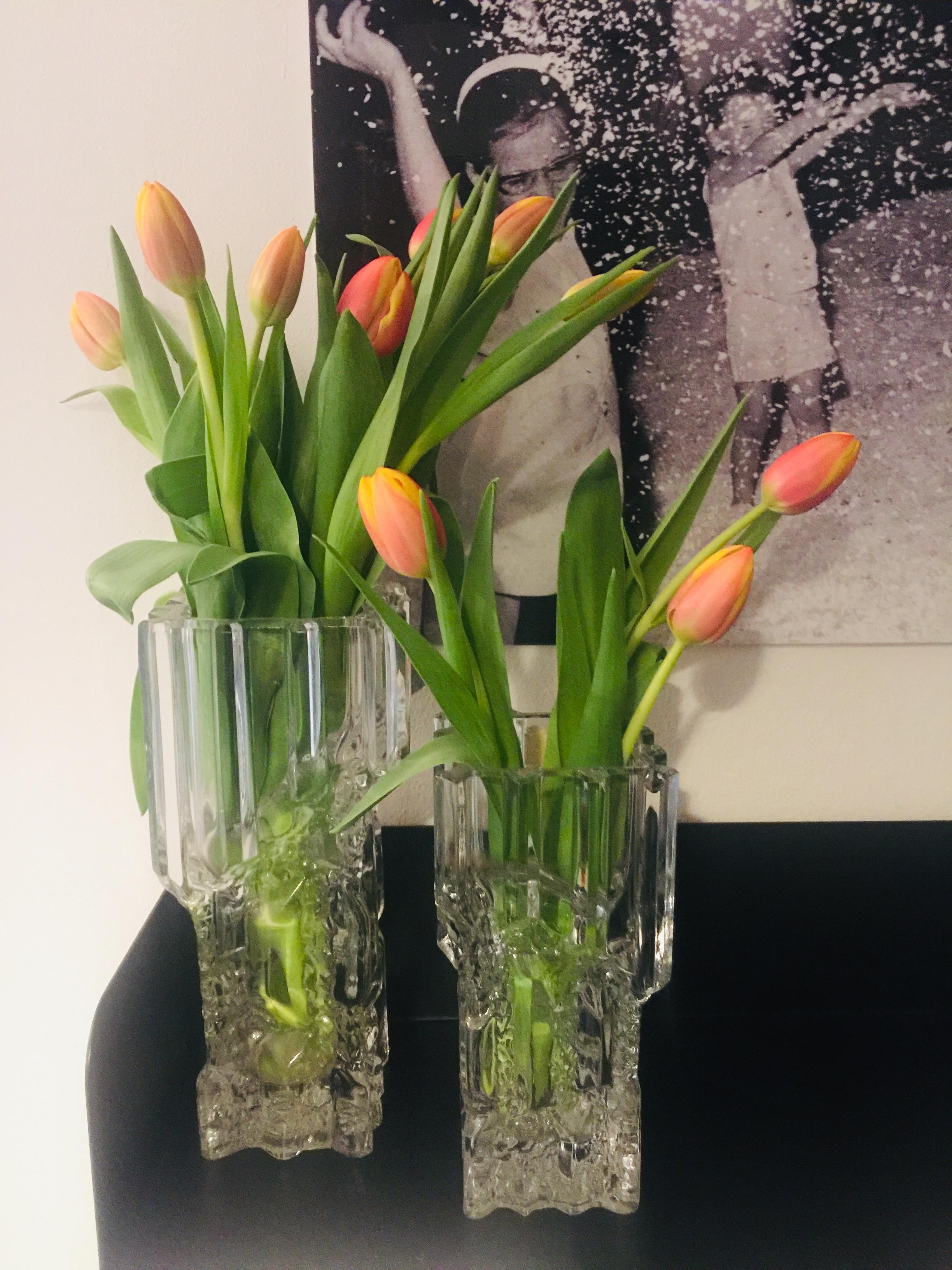 Vintage vases#Brutalism#Tulips