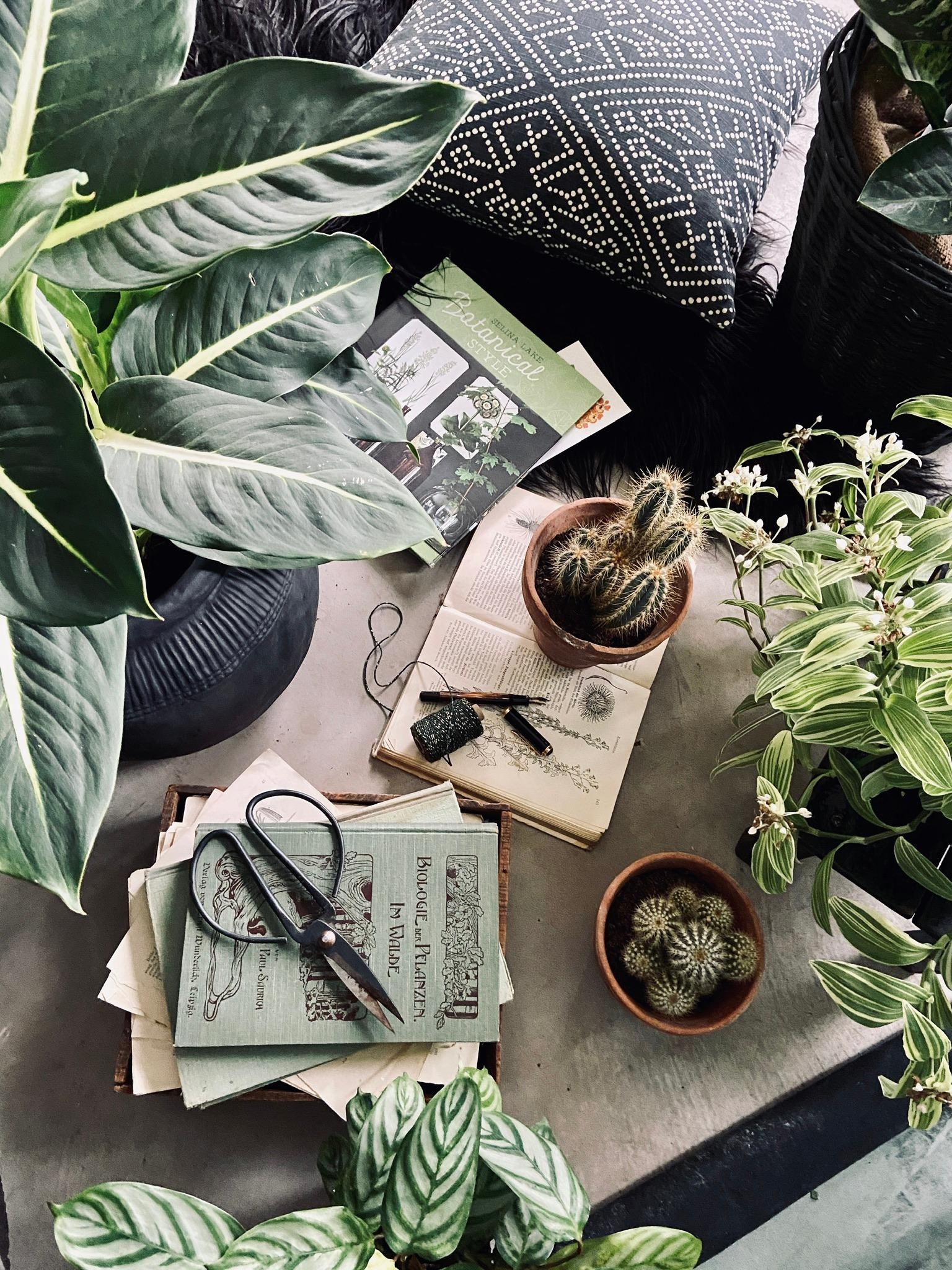 Vintageliebe & Botanical Style 
#pflanzenliebe #greenliving #simpleliving