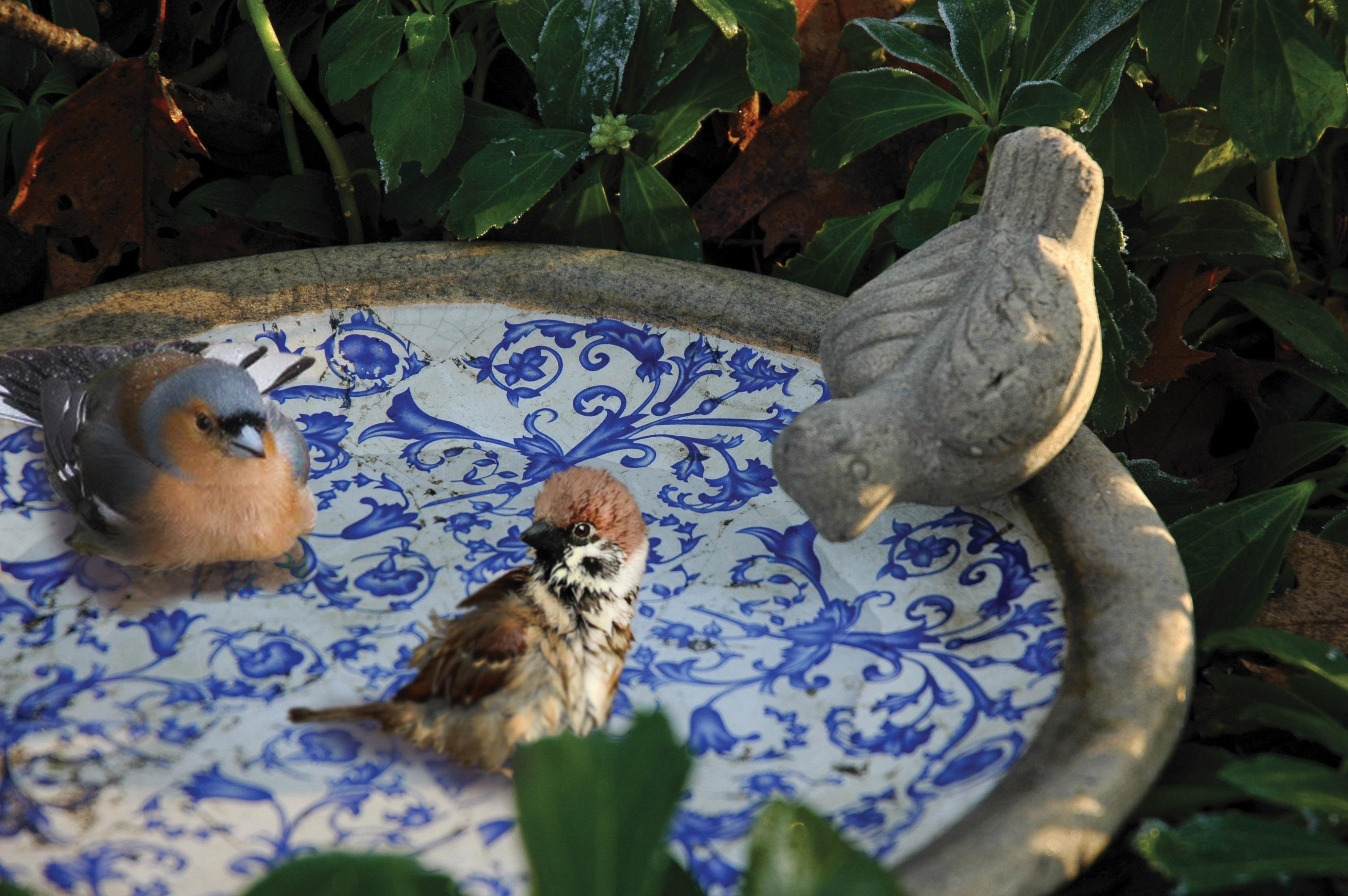Vogeltränke & Vogelbad "Aged Ceramic" #gartendeko #vogeltränke ©Nostalgie im Kinderzimmer