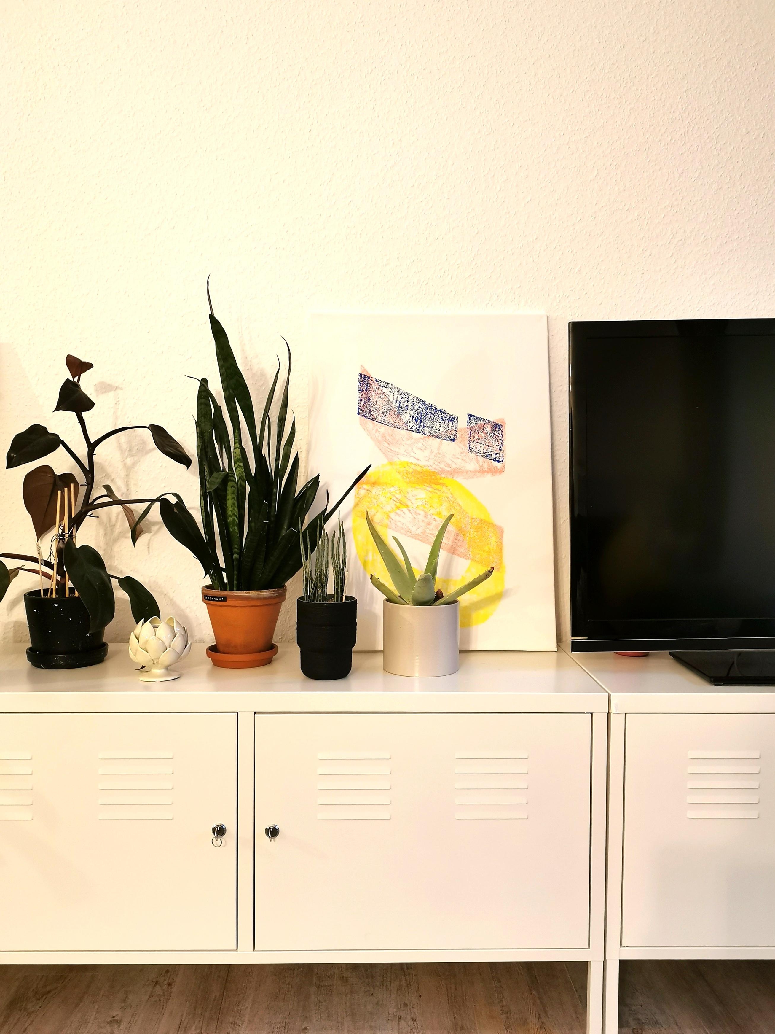 Voll OK!
#print #handmade #ikeaps #wohnzimmer #bildergalerie #zimmerpflanzen #ikea #urbanjungle