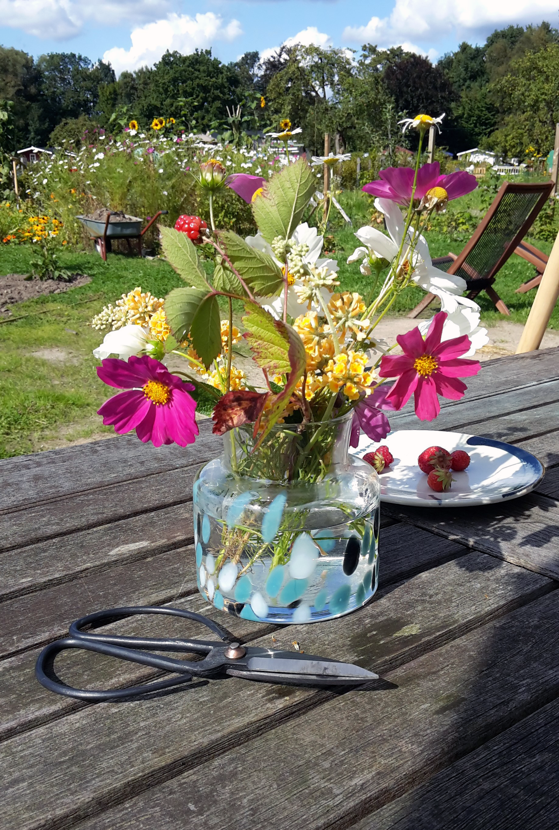 Volle Flower Power im Garten! ? #farbenmix #blumen #sitzeckegarten #sitzgelegenheitgarten