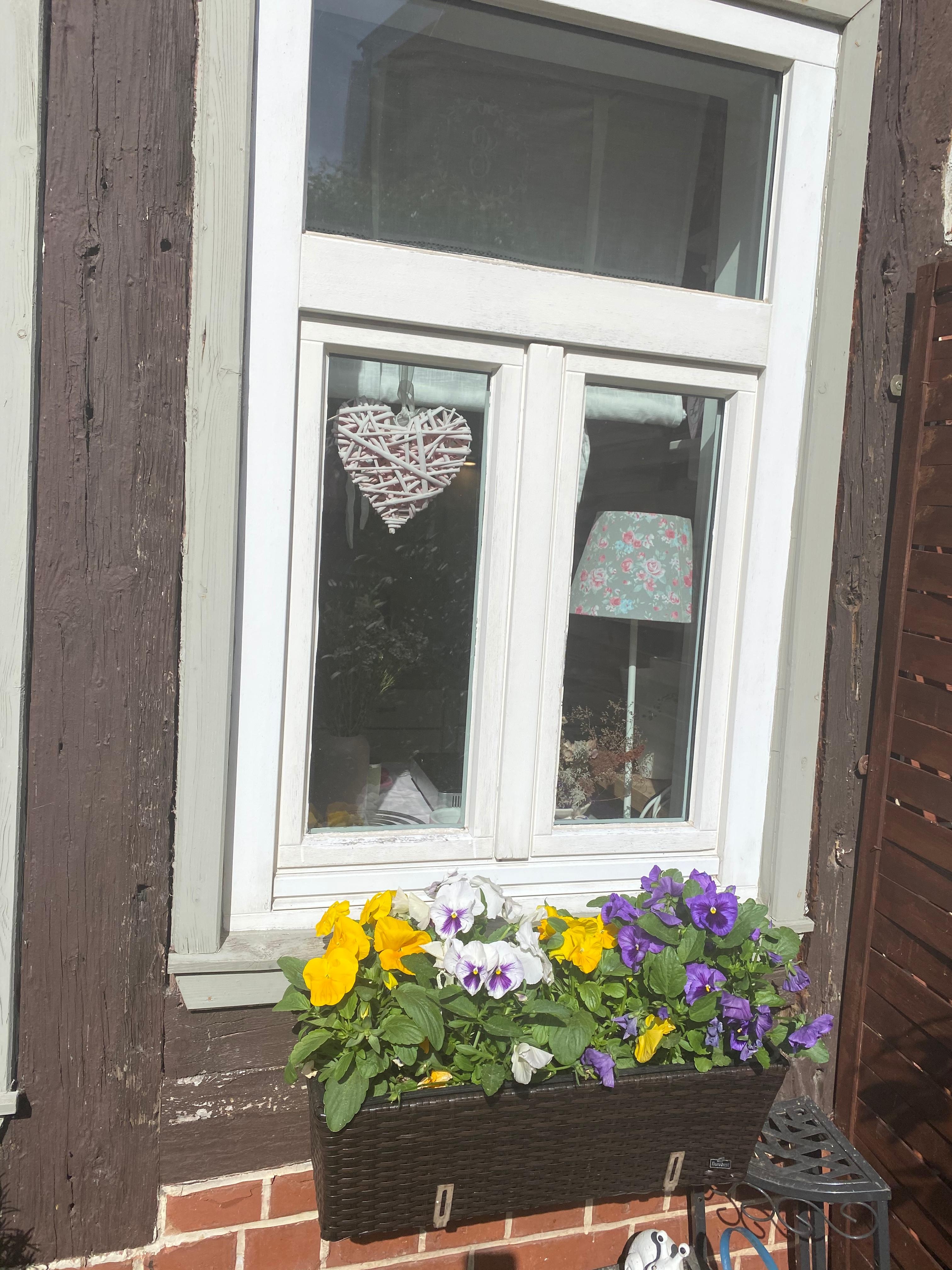 Von außen kann sich unser Küchenfenster aber auch sehen lassen!!!
#garden #landhausstil #gartenliebe #sunshine