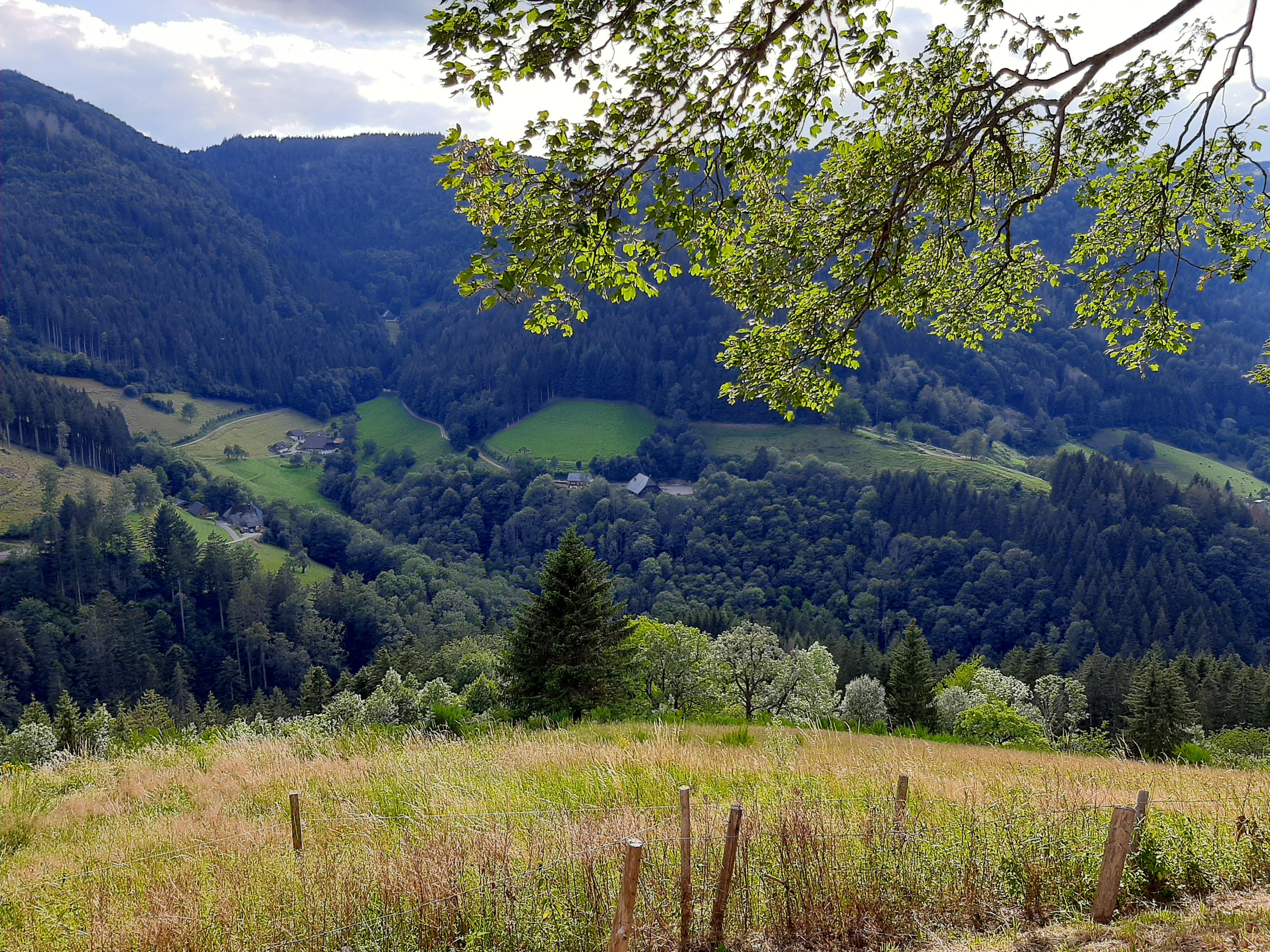 Von Freiburg aus wieder nach Hause.
#Schwarzwald #Natur #ausblick 