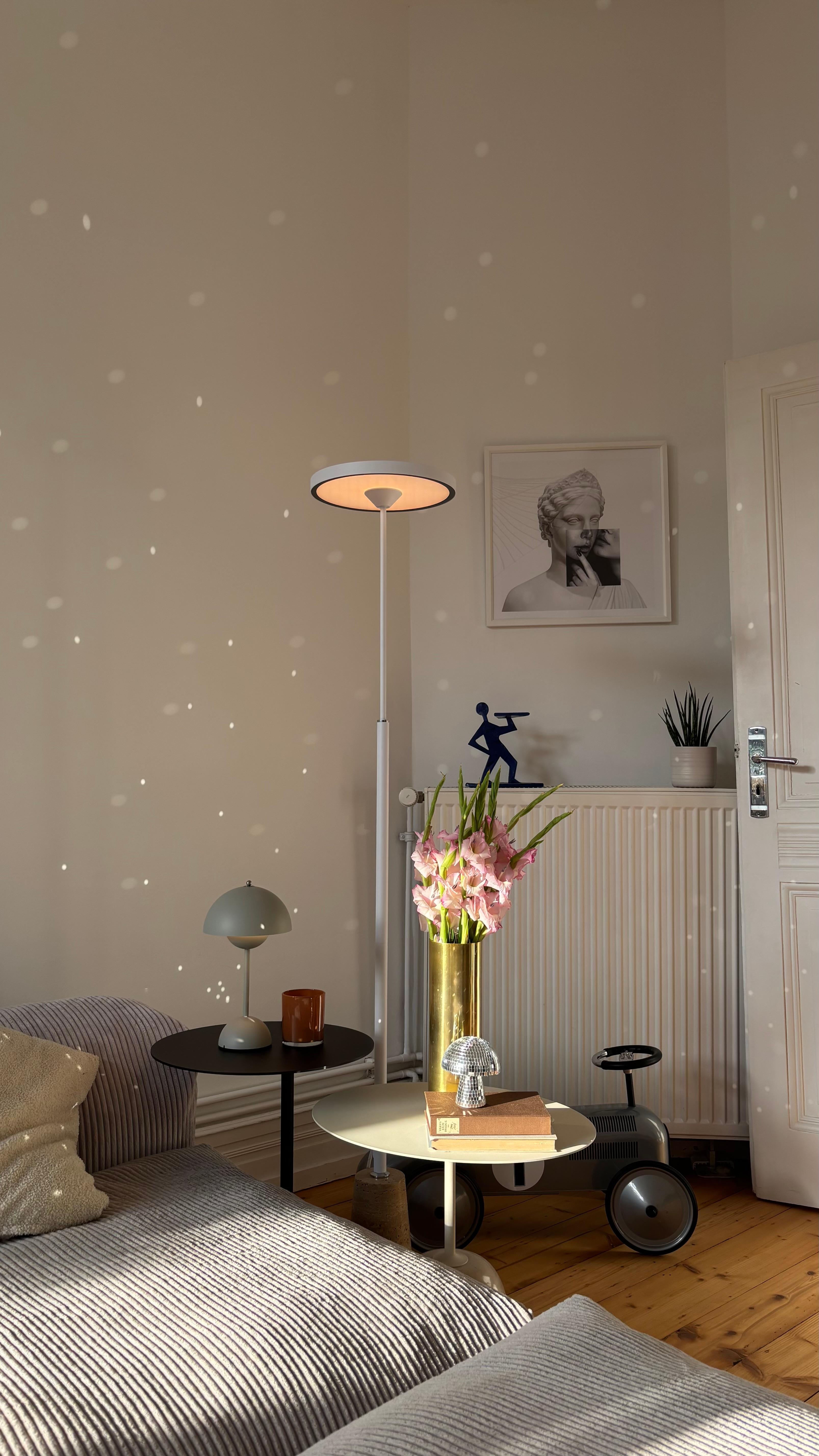 Vormittags-Sonne im Wohnzimmer, inkl. Glitzerpunkte ✨ 🪩 #frankfurtnordend #altbau #m2maisonette