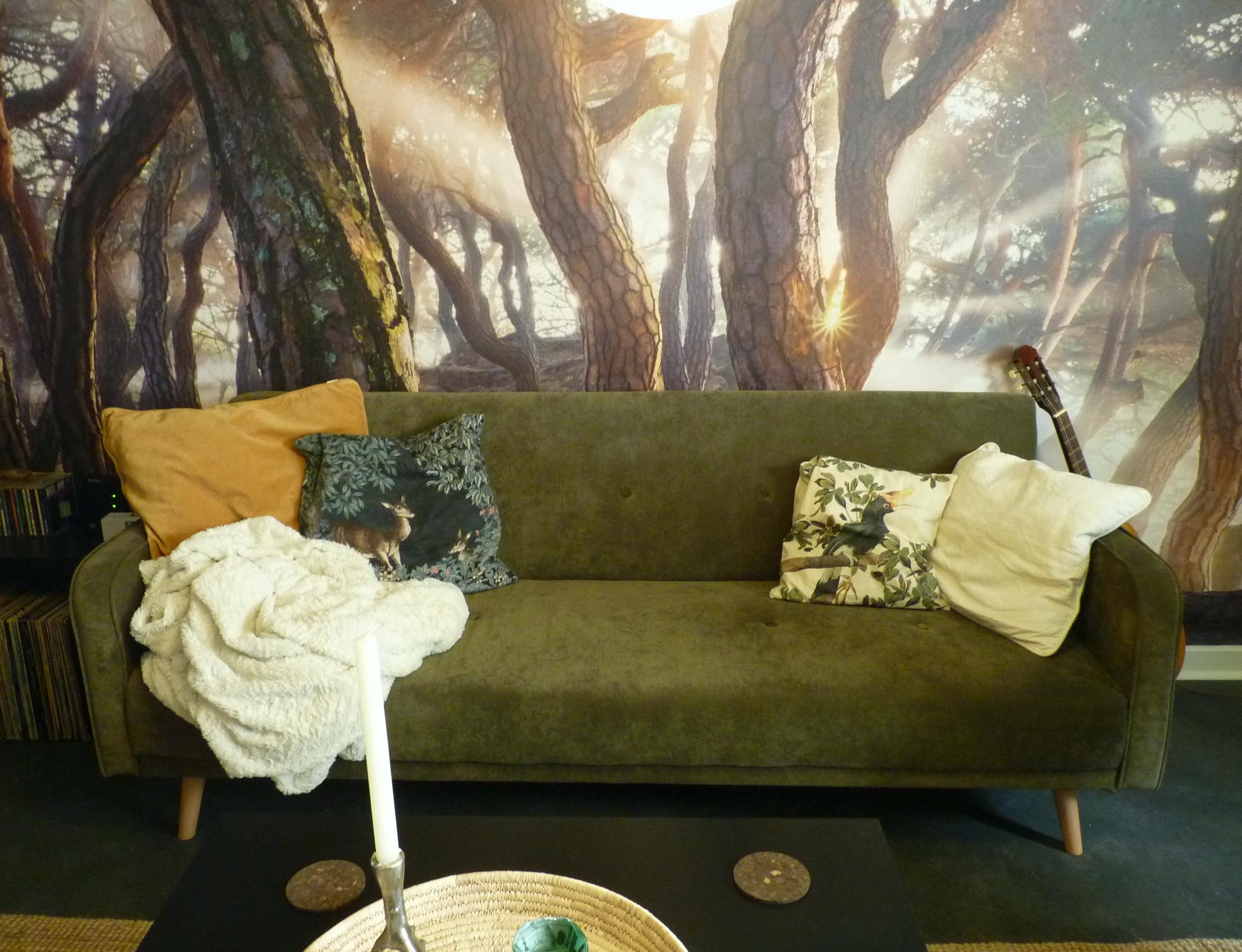 Wald und Waldtiere
#wohnzimmer #sofa #fototapete #grün #natur #kiefern #bäume